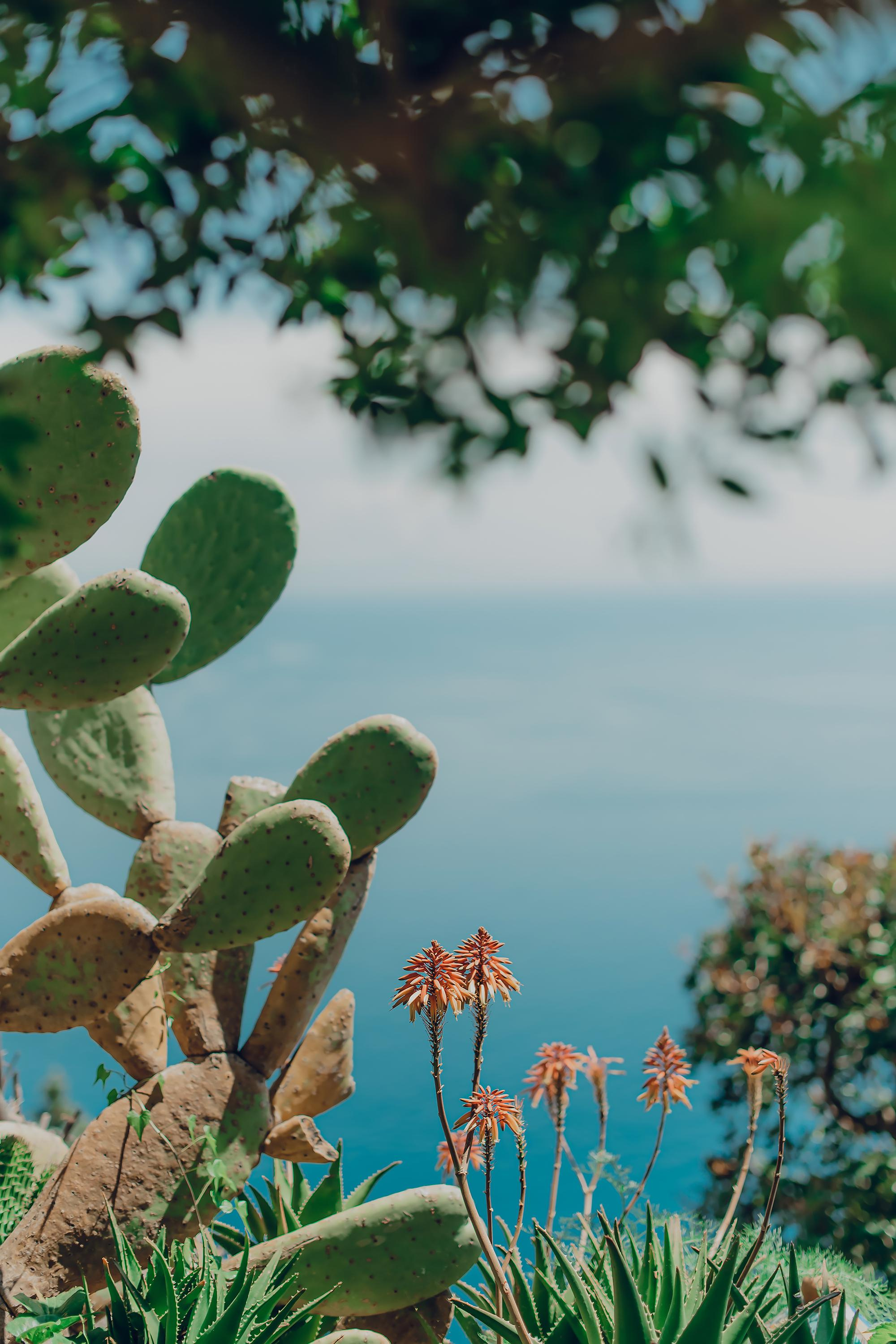 Compleanno di Alessandra. Ciao, benvenuta! Sono Anastasia la vostra fotografa per il matrimonio