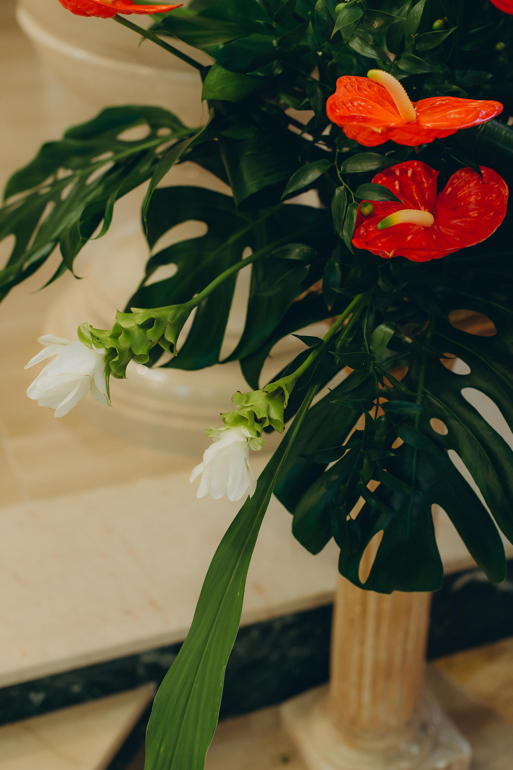 Battesimo di Nicole. Ciao, benvenuta! Sono Anastasia la vostra fotografa per il matrimonio