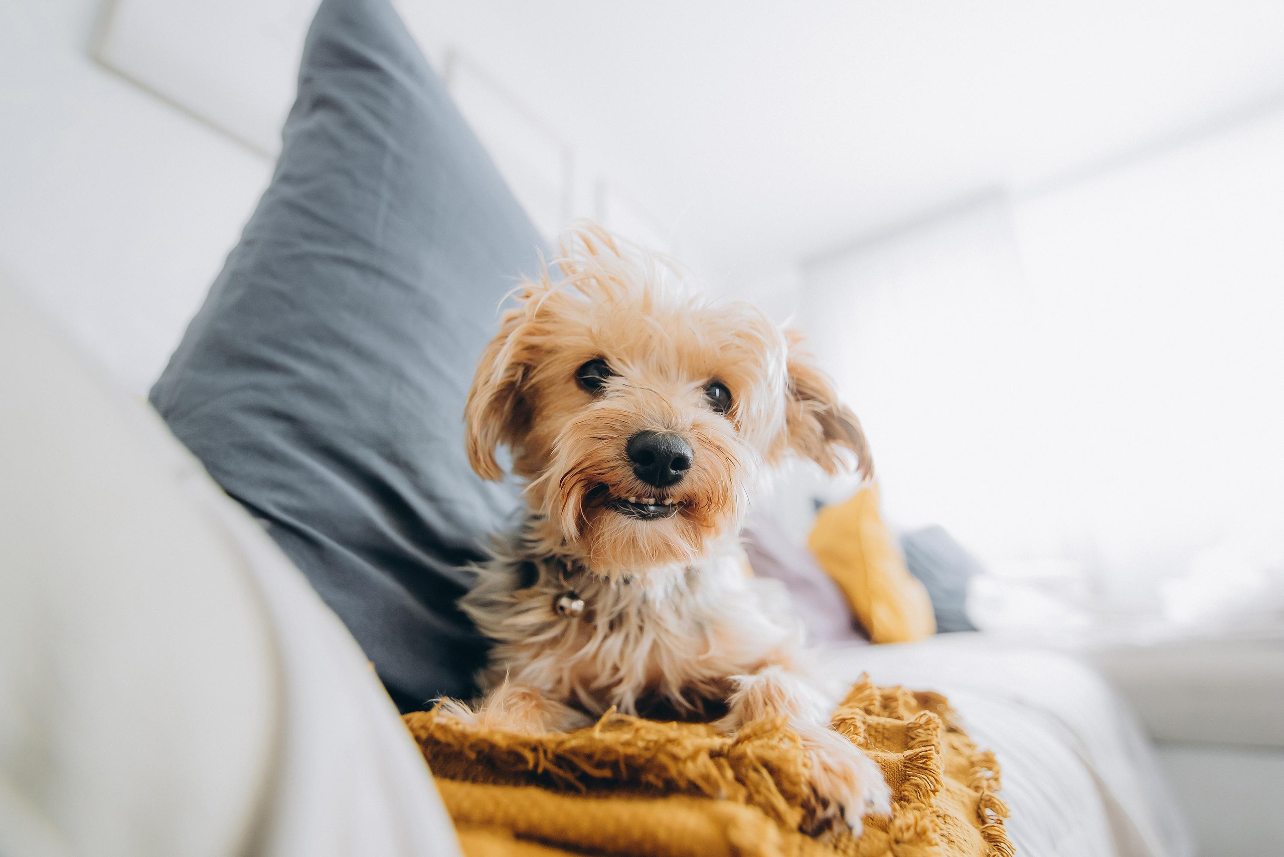 Battesimo di Nicole. Ciao, benvenuta! Sono Anastasia la vostra fotografa per il matrimonio