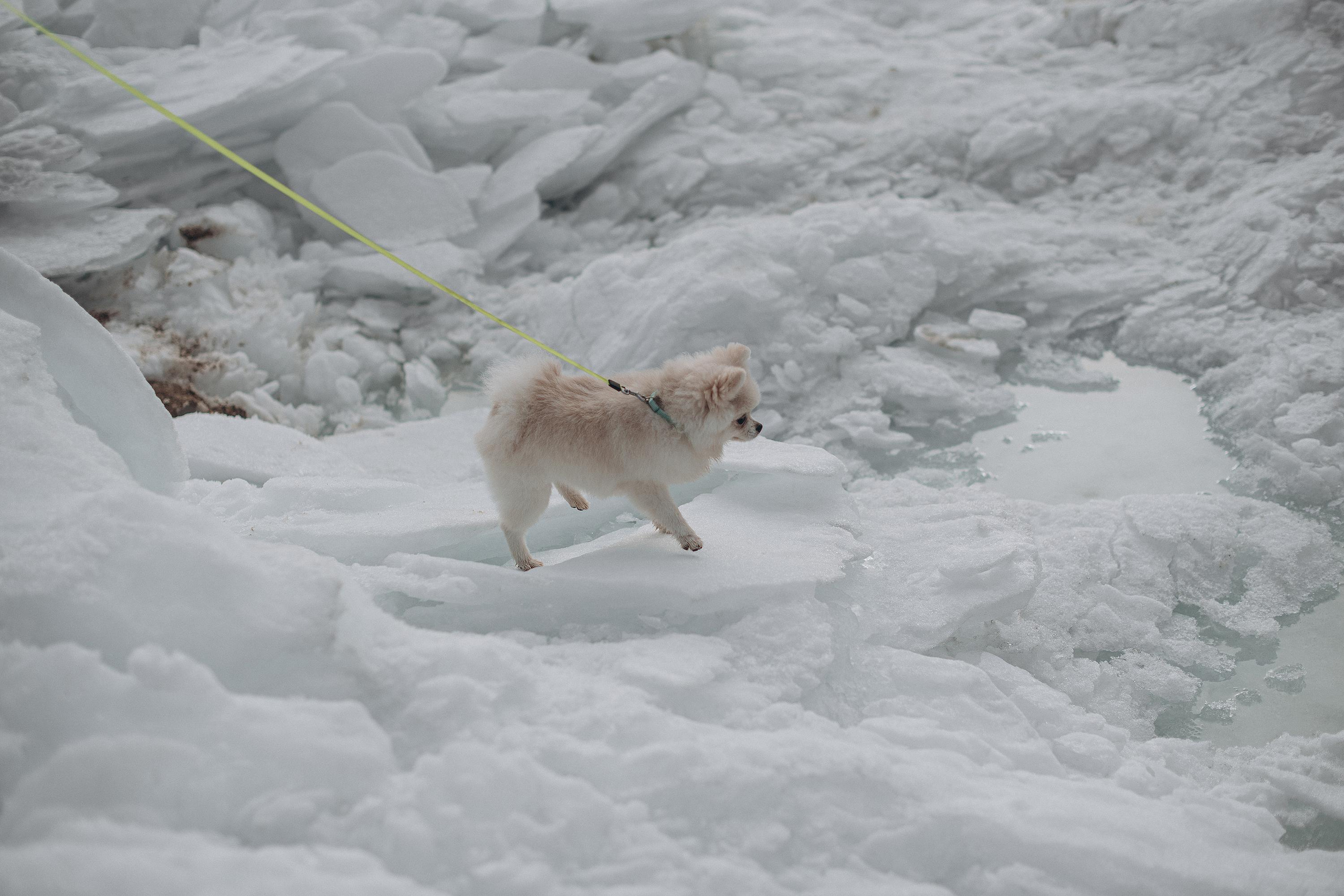 Anna. Ciao, benvenuta! Sono Anastasia la vostra fotografa per il matrimonio