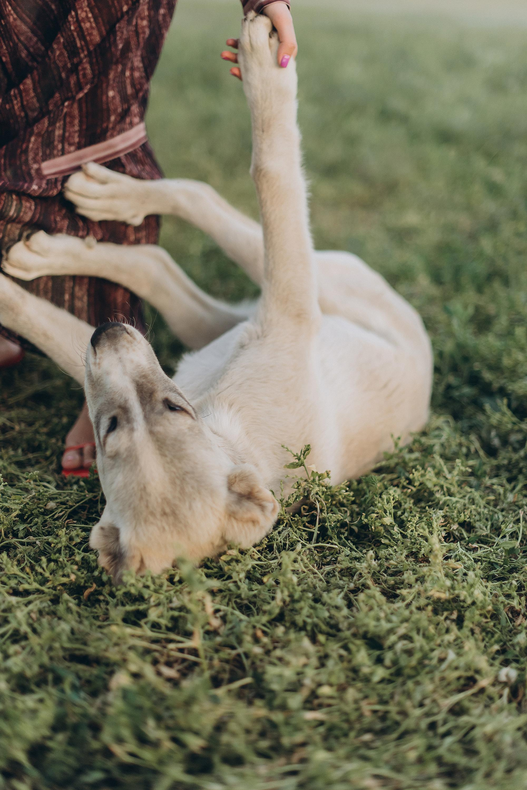 Foto di famiglia. Ciao, benvenuta! Sono Anastasia la vostra fotografa per il matrimonio