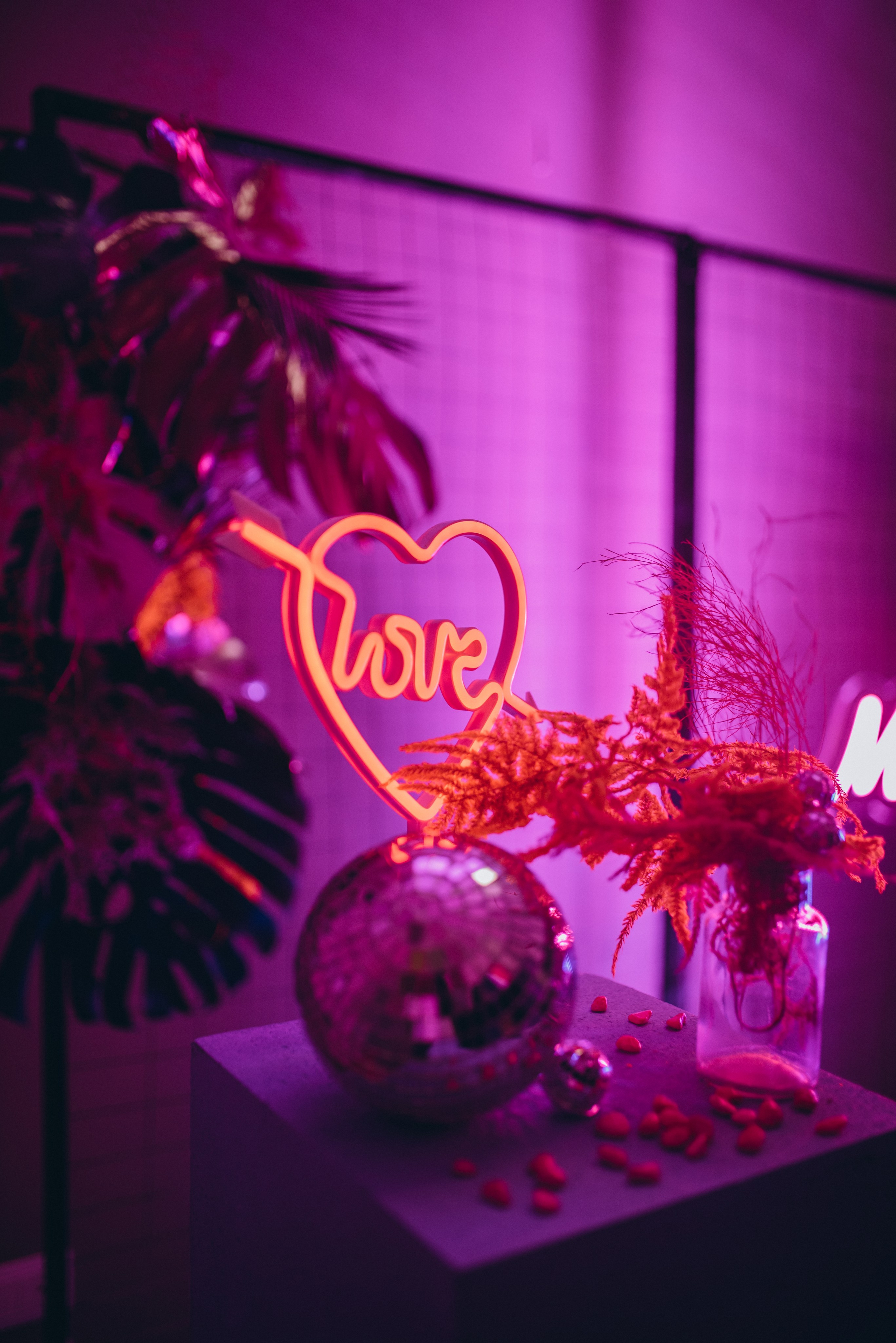 COMPLEANNO DI LUDOVICA. Ciao, benvenuta! Sono Anastasia la vostra fotografa per il matrimonio