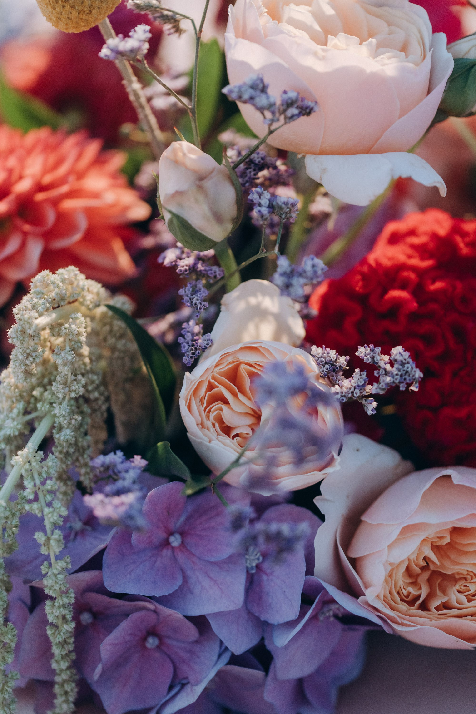 ALICE. Ciao, benvenuta! Sono Anastasia la vostra fotografa per il matrimonio