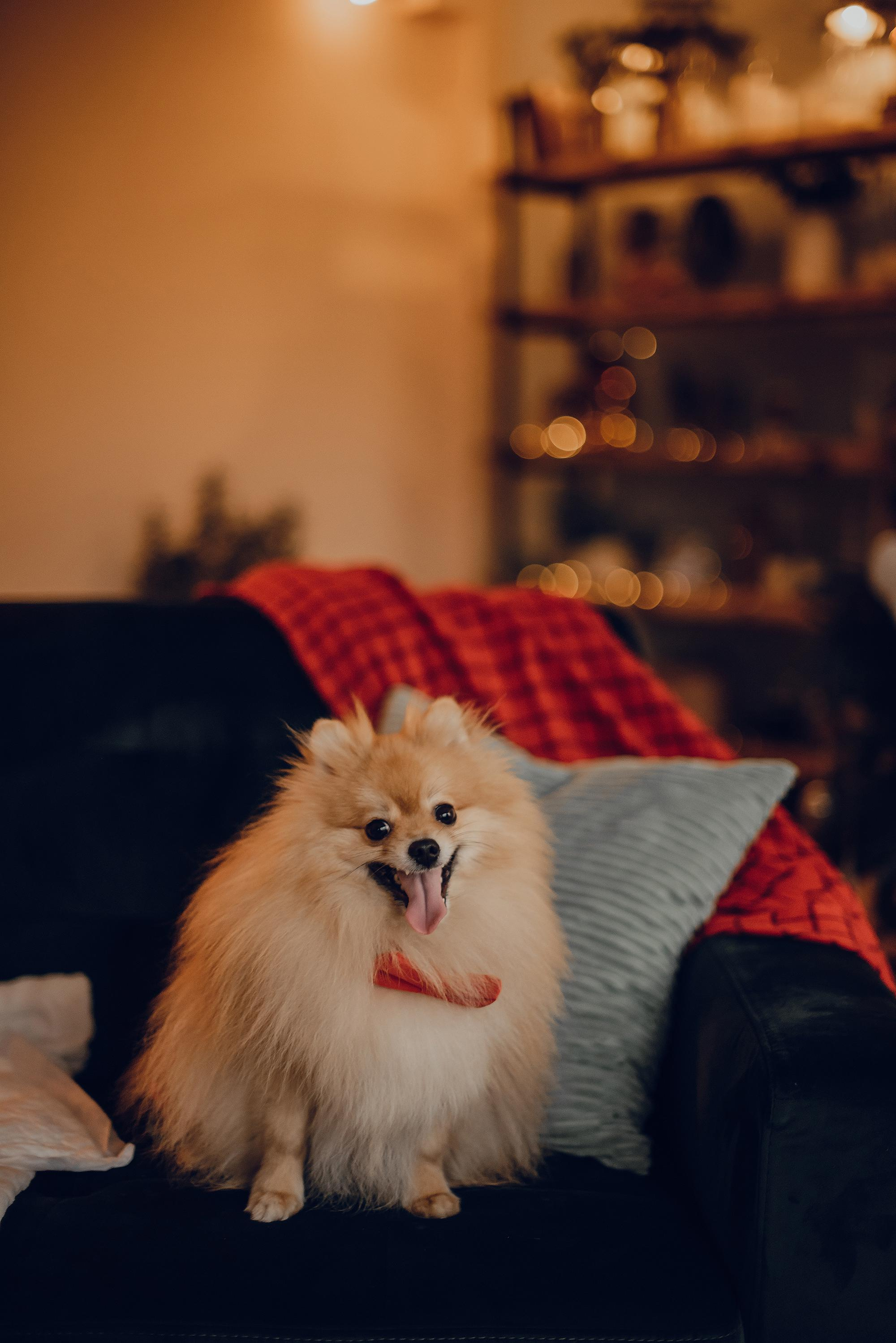 Foto di famiglia. Ciao, benvenuta! Sono Anastasia la vostra fotografa per il matrimonio