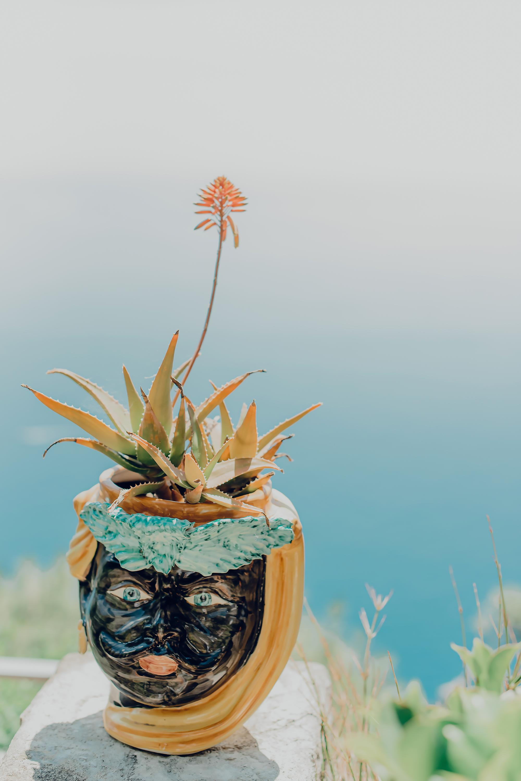 Compleanno di Alessandra. Ciao, benvenuta! Sono Anastasia la vostra fotografa per il matrimonio