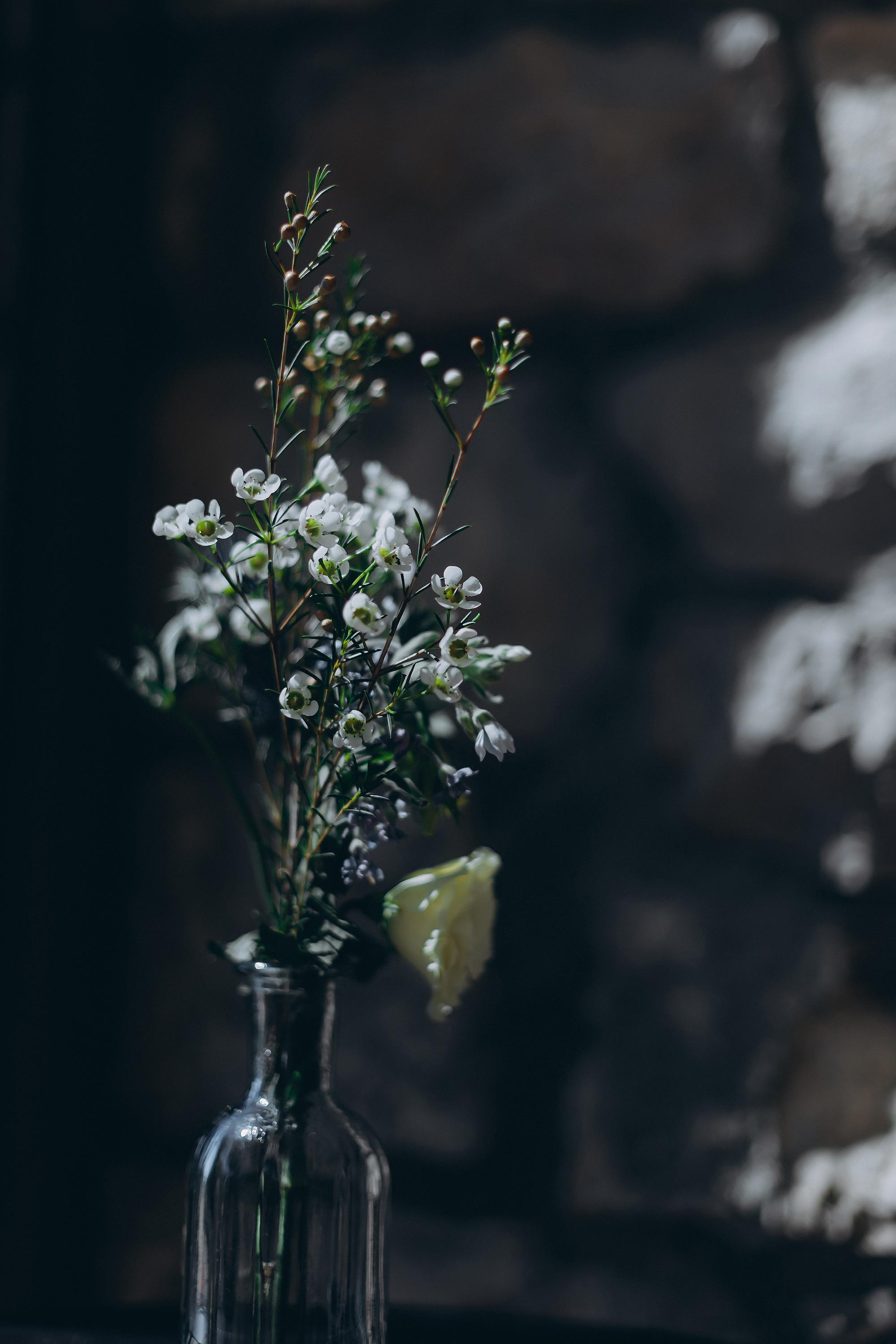 Battesimo di Nicole. Ciao, benvenuta! Sono Anastasia la vostra fotografa per il matrimonio