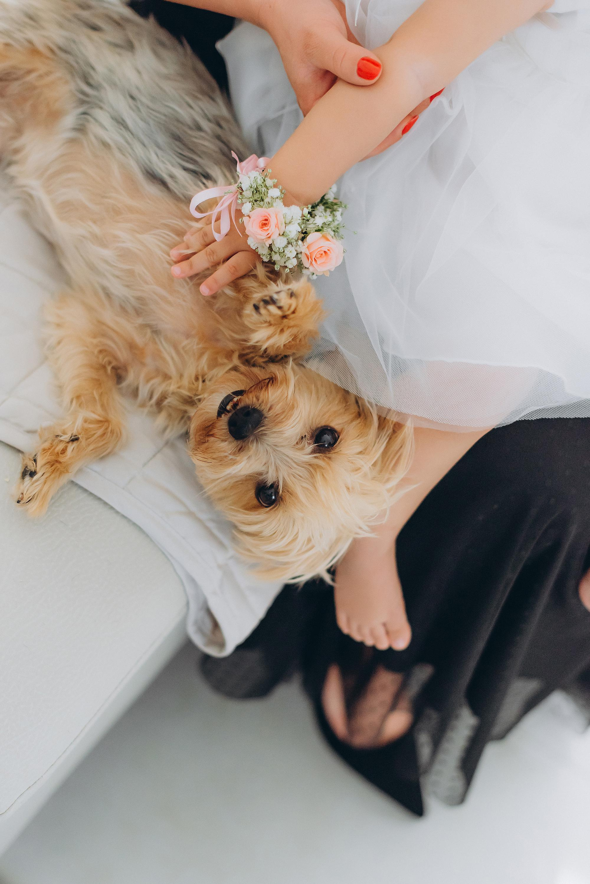 Battesimo di Nicole. Ciao, benvenuta! Sono Anastasia la vostra fotografa per il matrimonio