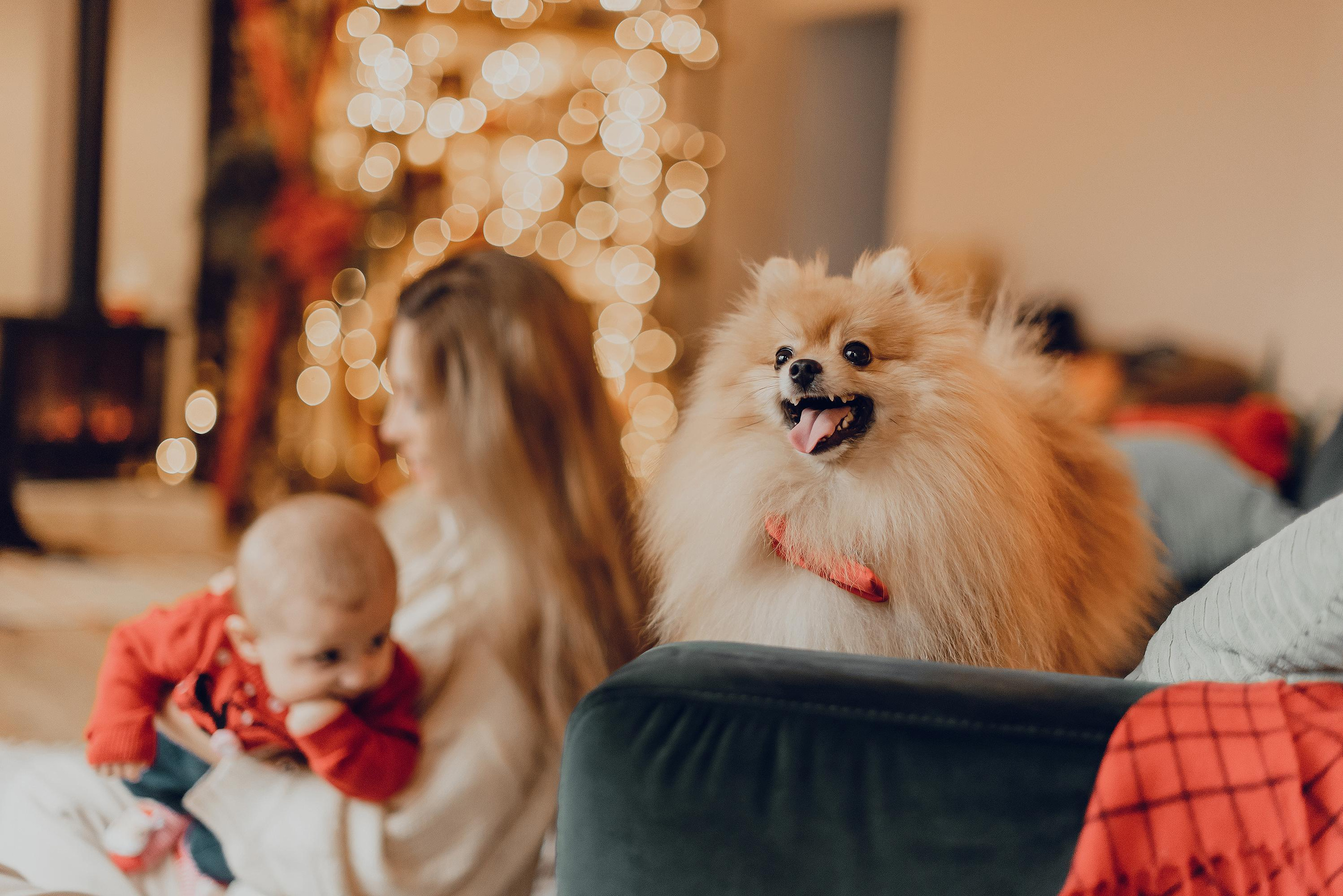 Foto di famiglia. Ciao, benvenuta! Sono Anastasia la vostra fotografa per il matrimonio