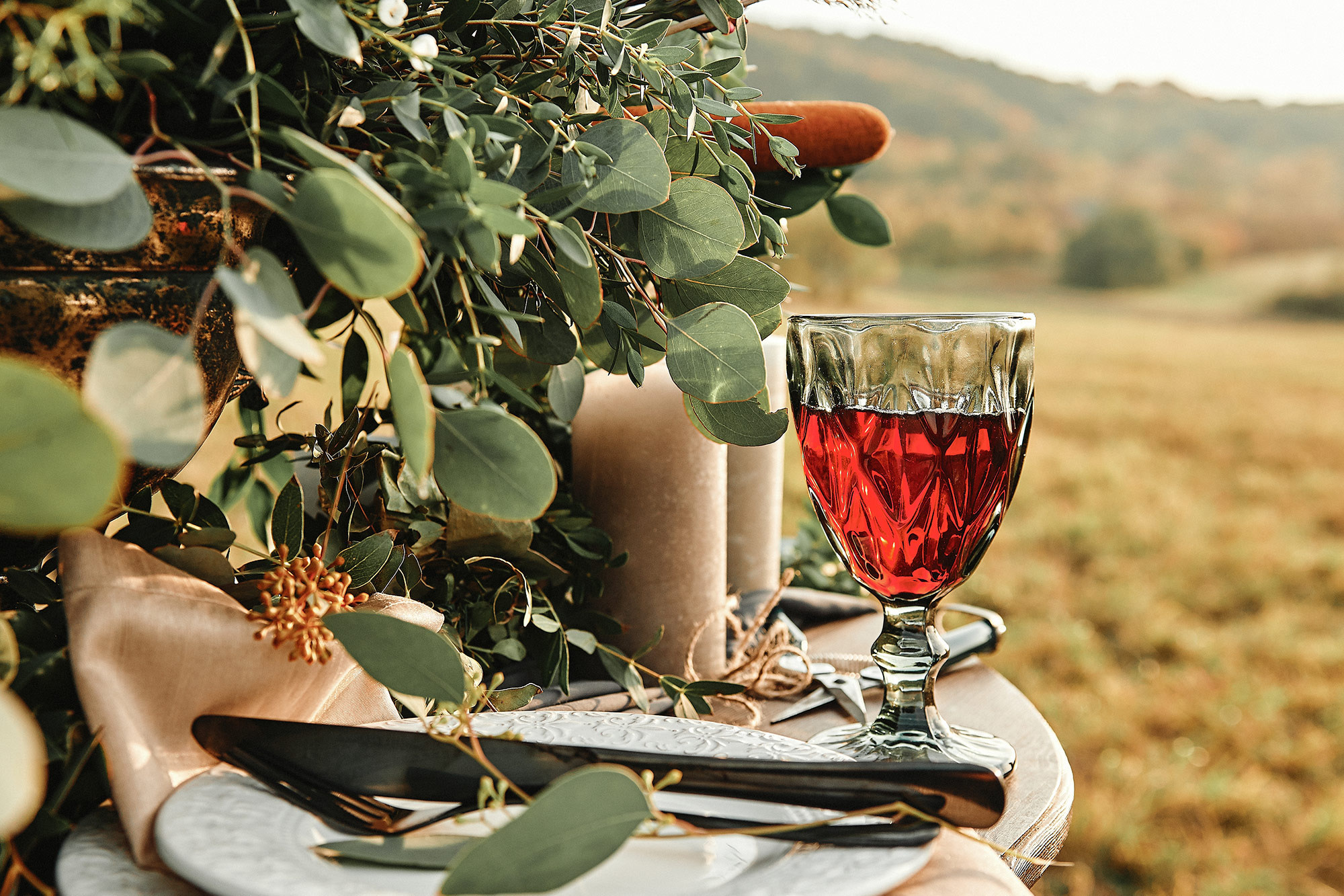 Свадебная съемка в Подгорецком замке фотограф Владимир Тачанский. Фотограф на весілля Київ, Хмельницький, Львів. Тачанський Володимир