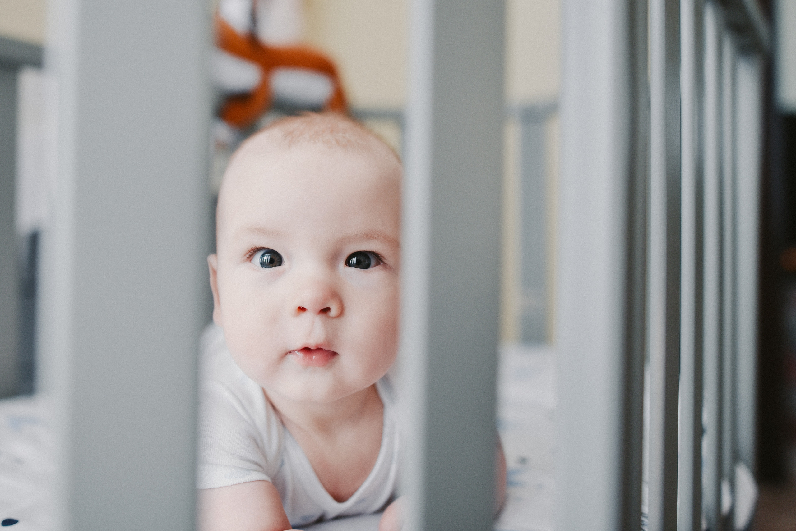 Ivan. Photographer Katia Velich Toronto Oakville GTA