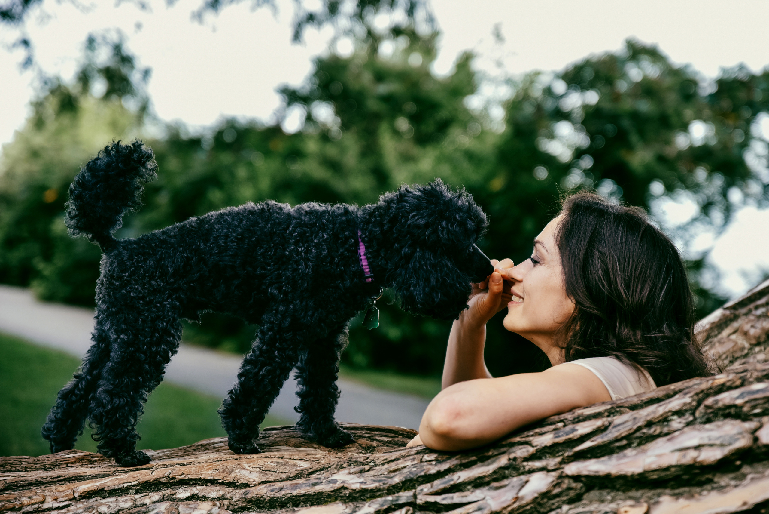 Iulia and Jerry. Photographer Katia Velich Toronto Oakville GTA
