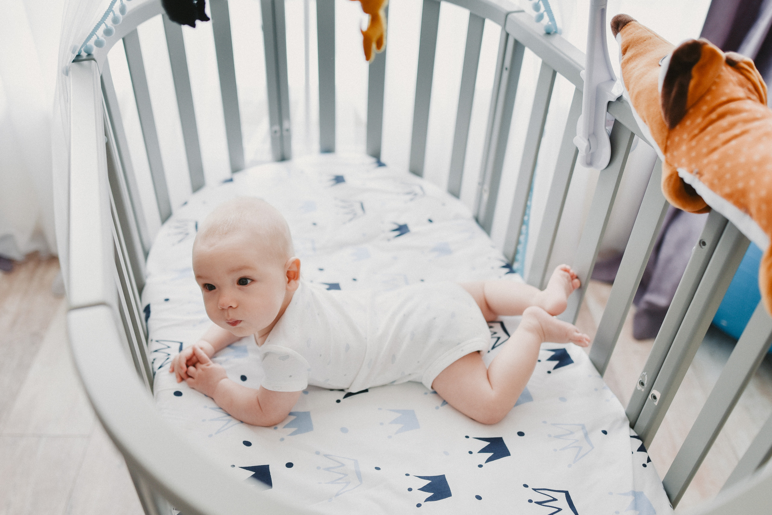 Ivan. Photographer Katia Velich Toronto Oakville GTA