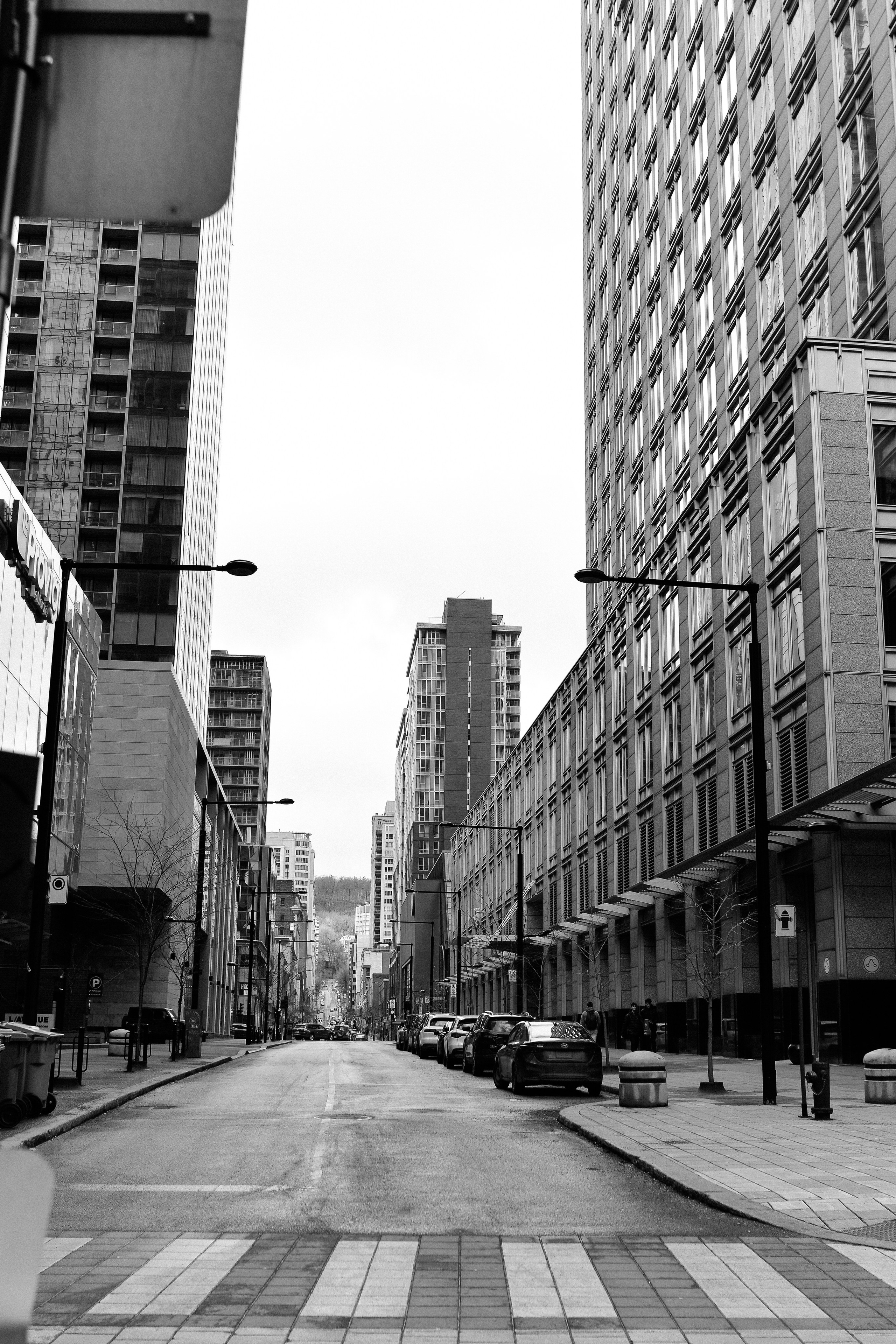 Montreal, March 2024. Photographer Katia Velich Toronto Oakville GTA