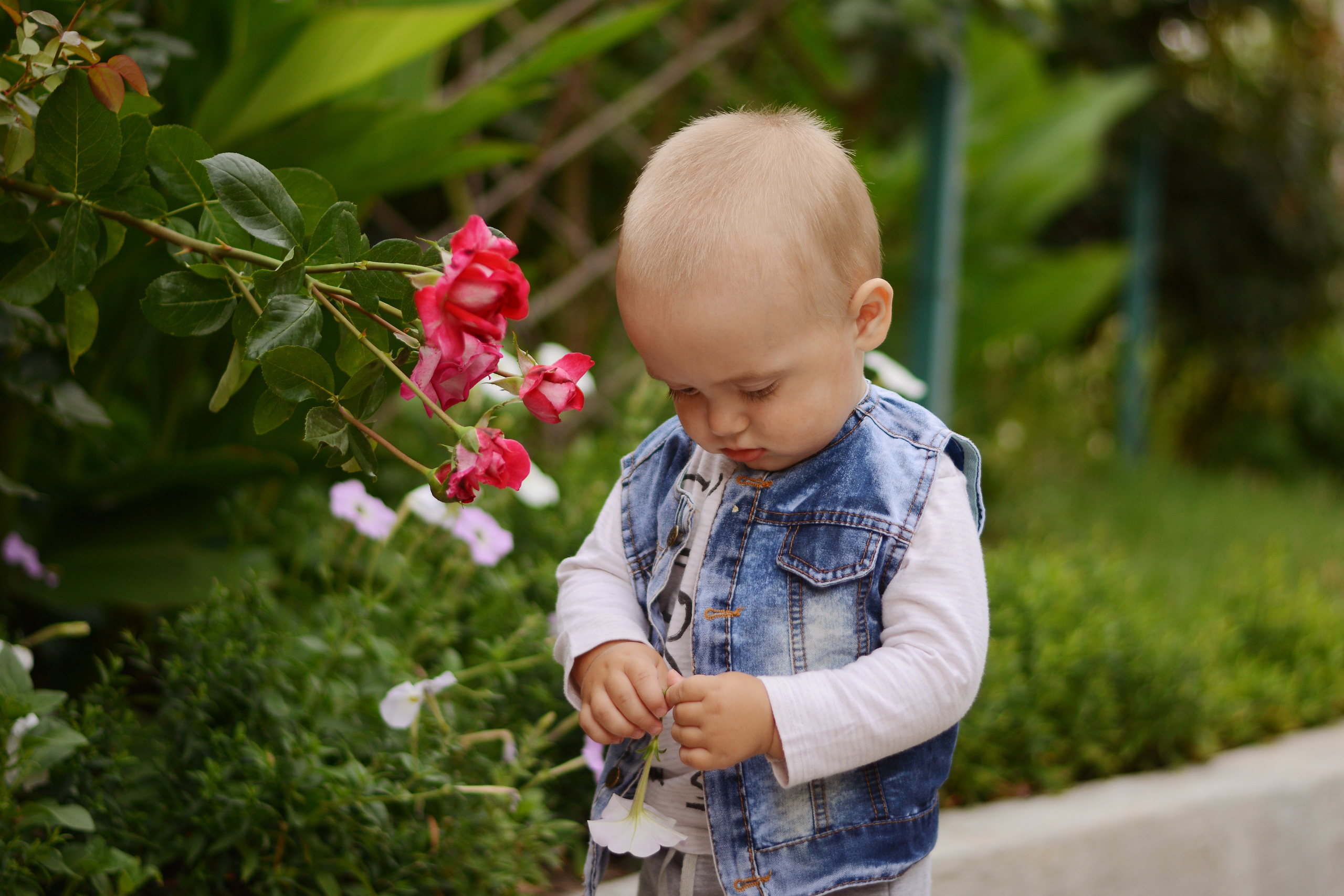 Nikita. Photographer Katia Velich Toronto Oakville GTA