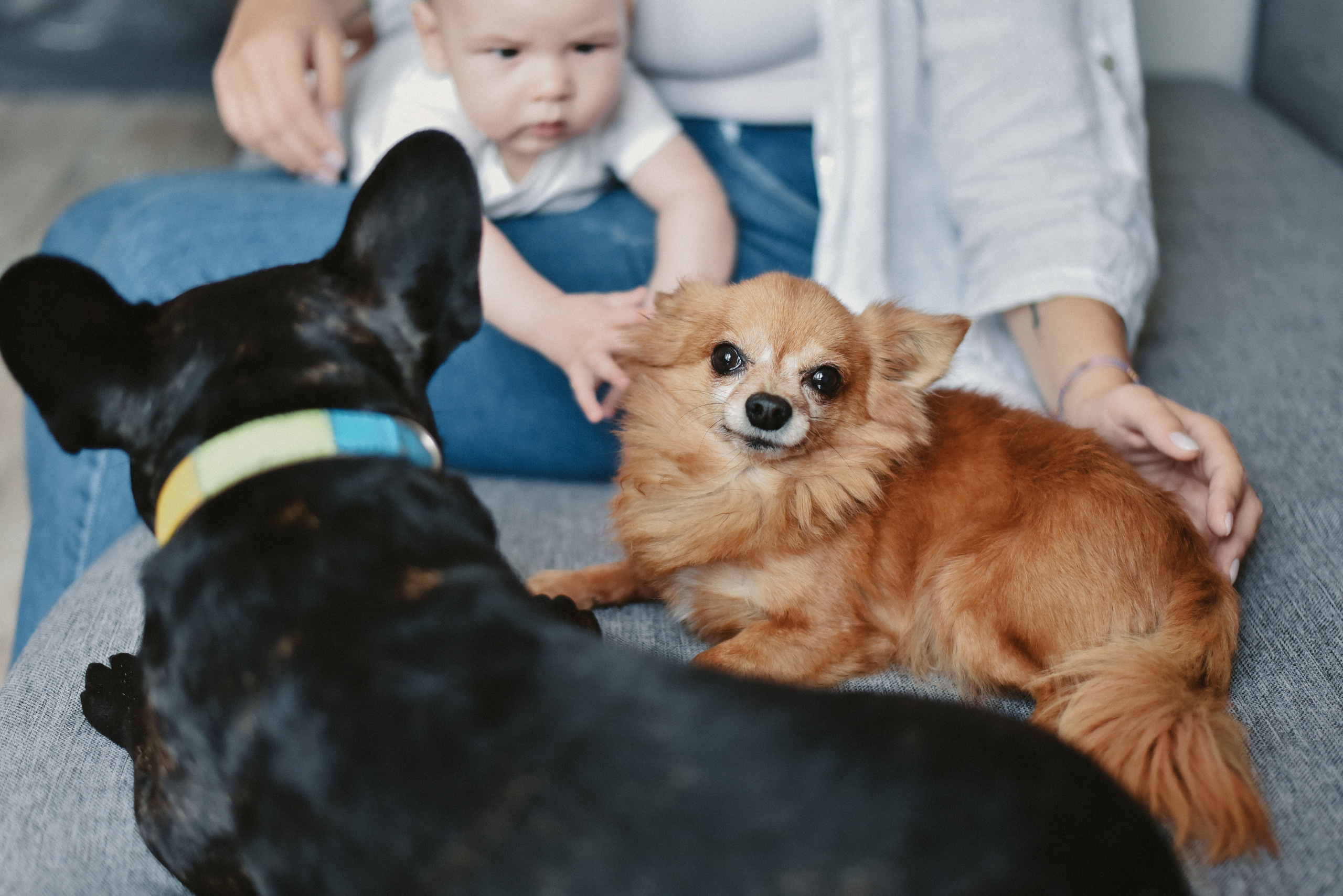 Ivan. Photographer Katia Velich Toronto Oakville GTA