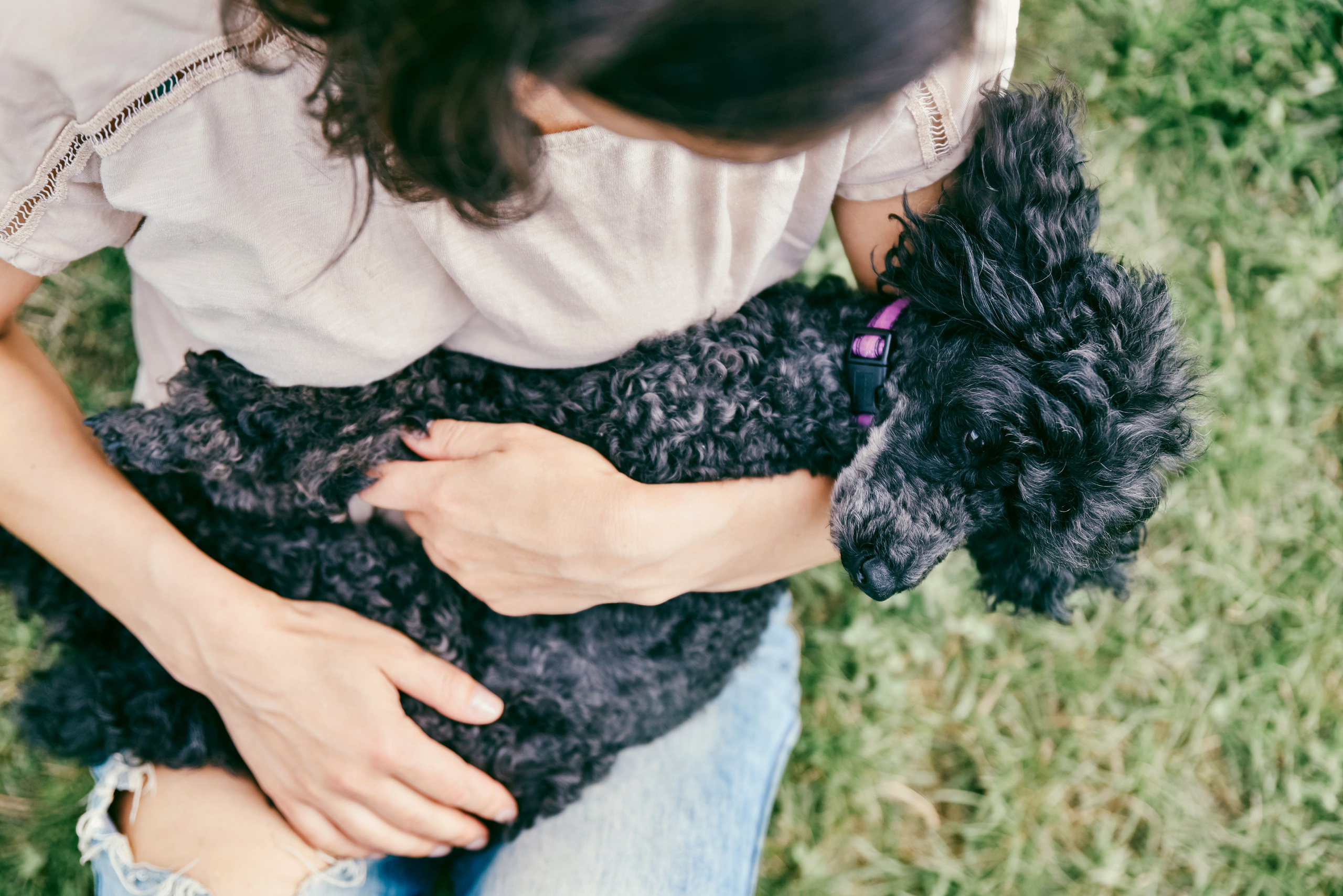 Iulia and Jerry. Photographer Katia Velich Toronto Oakville GTA