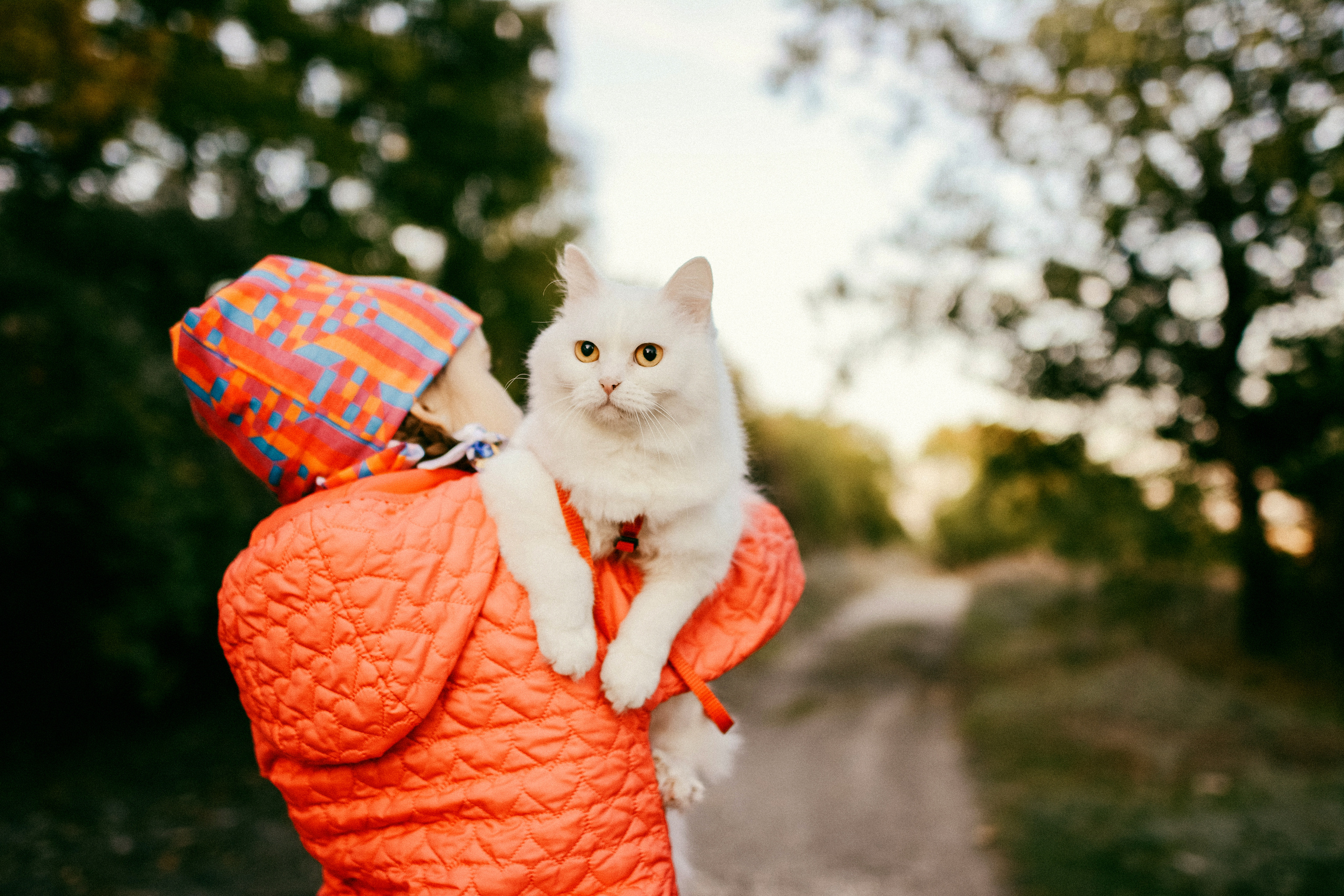 Family stories. Photographer Katia Velich Toronto Oakville GTA