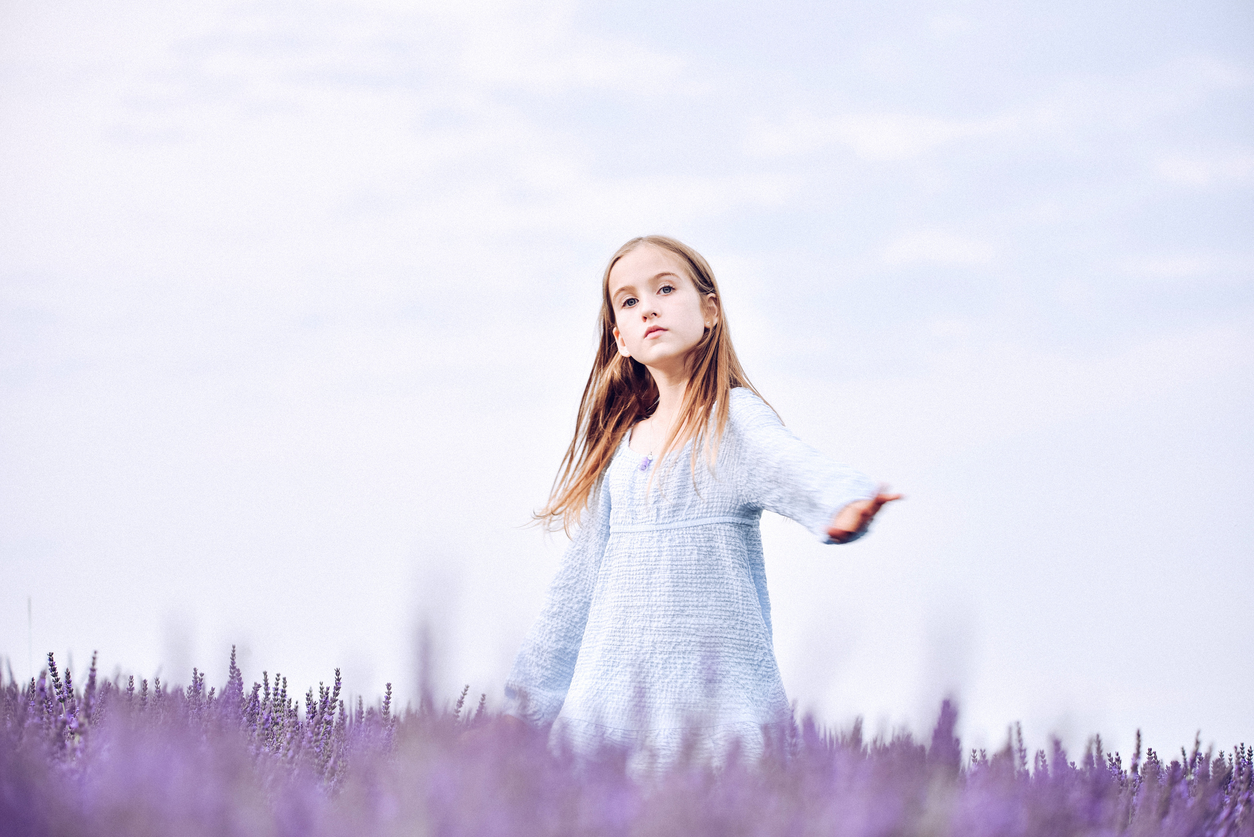 Lavender Farms, Ontario. Photographer Katia Velich Toronto Oakville GTA