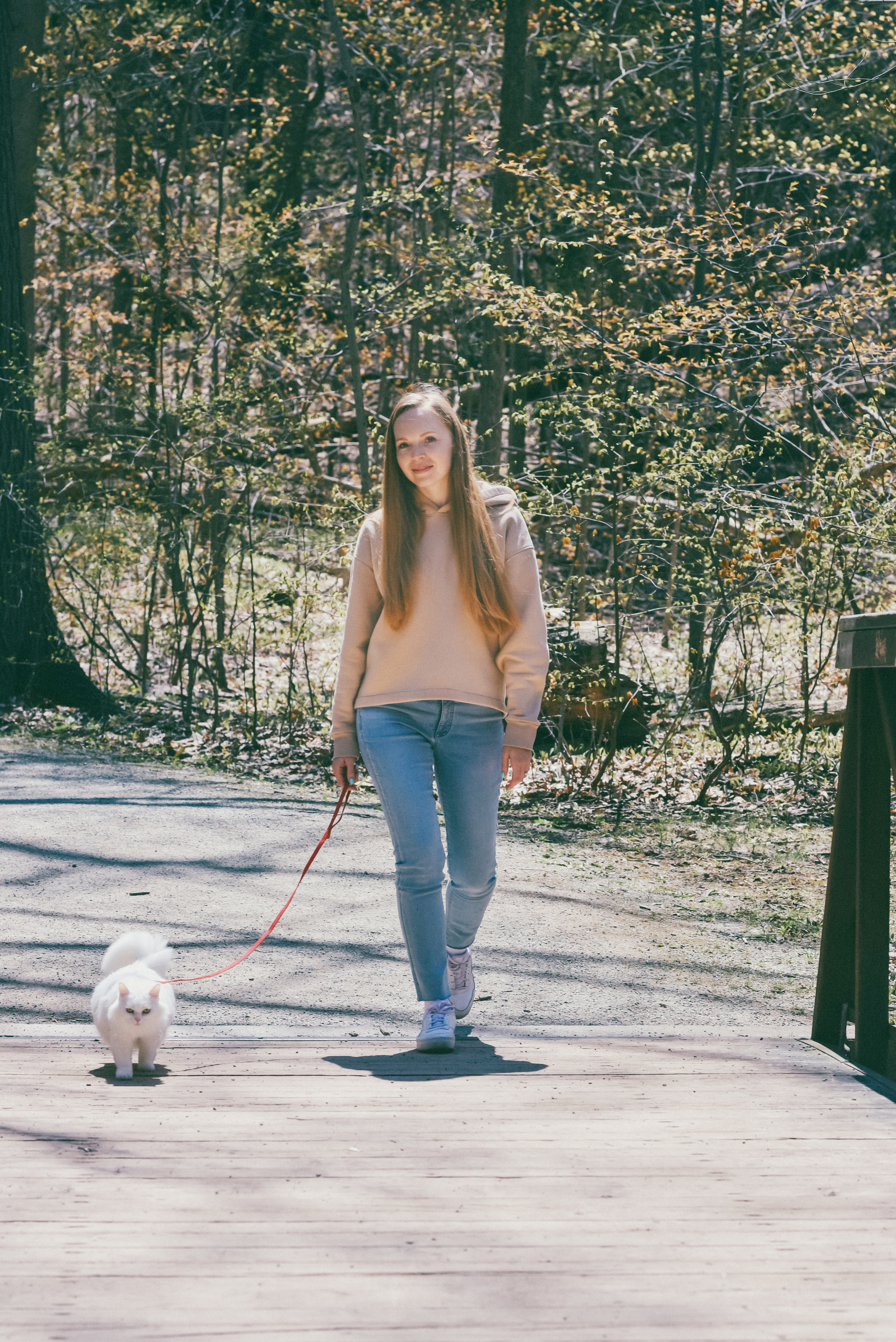 Morrison Valley South, Oakville, Ontario. Photographer Katia Velich Toronto Oakville GTA