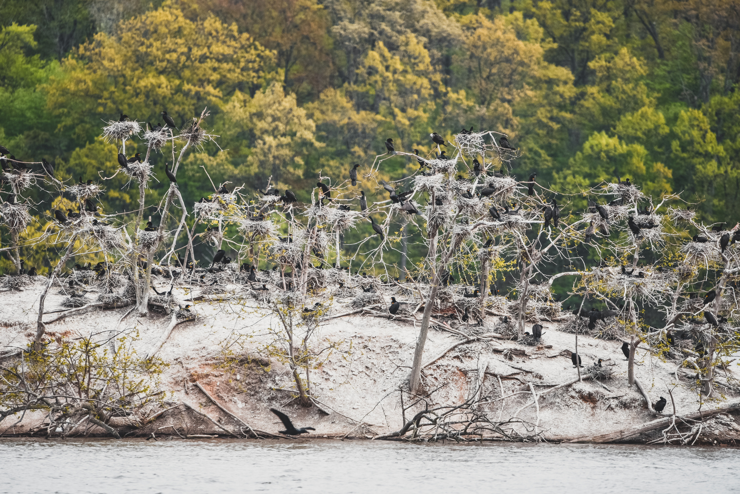 Nature. Photographer Katia Velich Toronto Oakville GTA