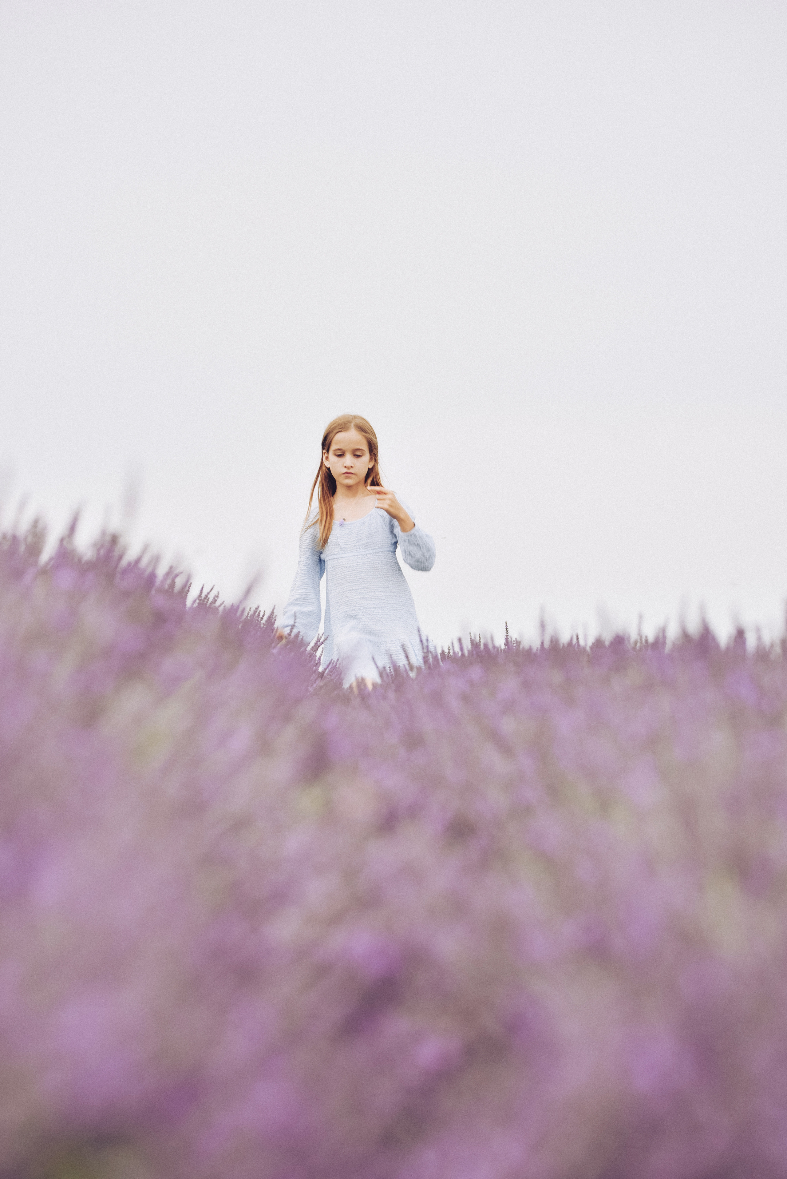 Lavender Farms, Ontario. Photographer Katia Velich Toronto Oakville GTA