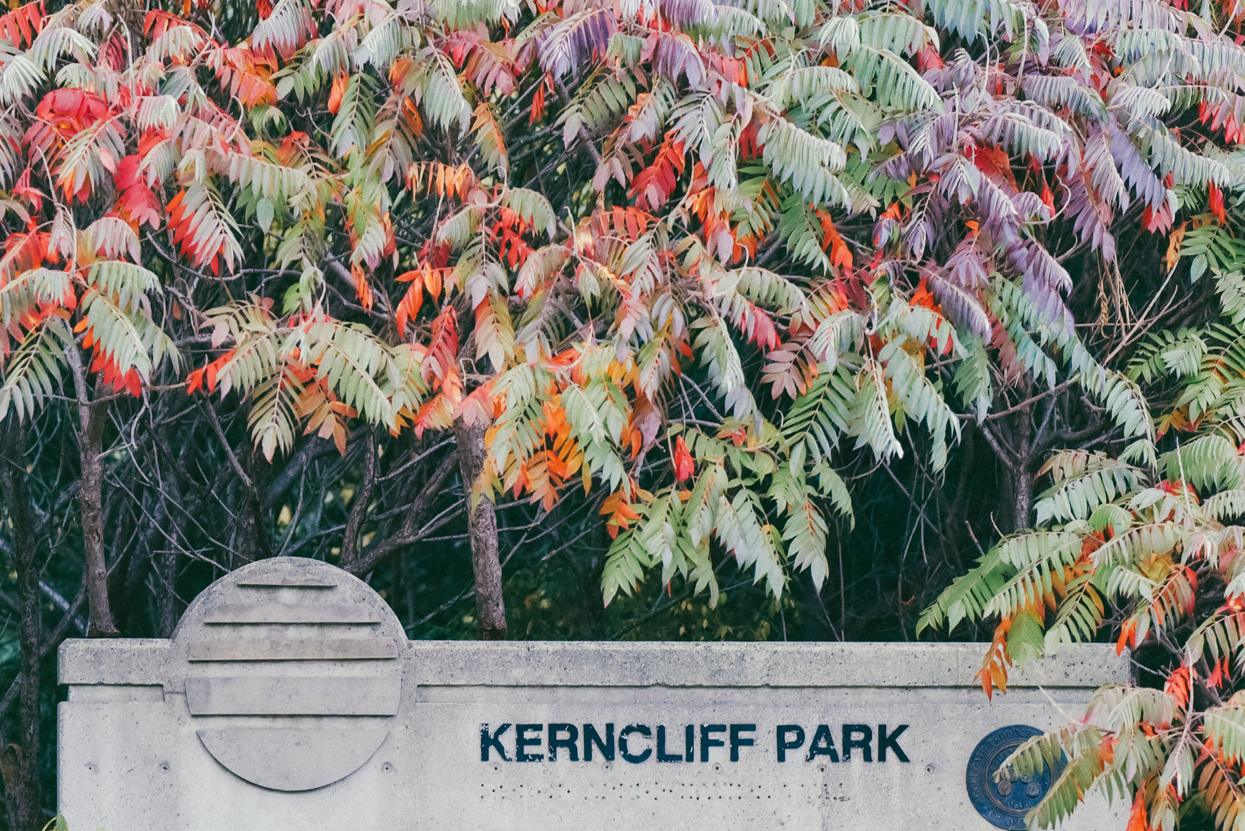 Kerncliff Park, Burlington, Ontario. Photographer Katia Velich Toronto Oakville GTA