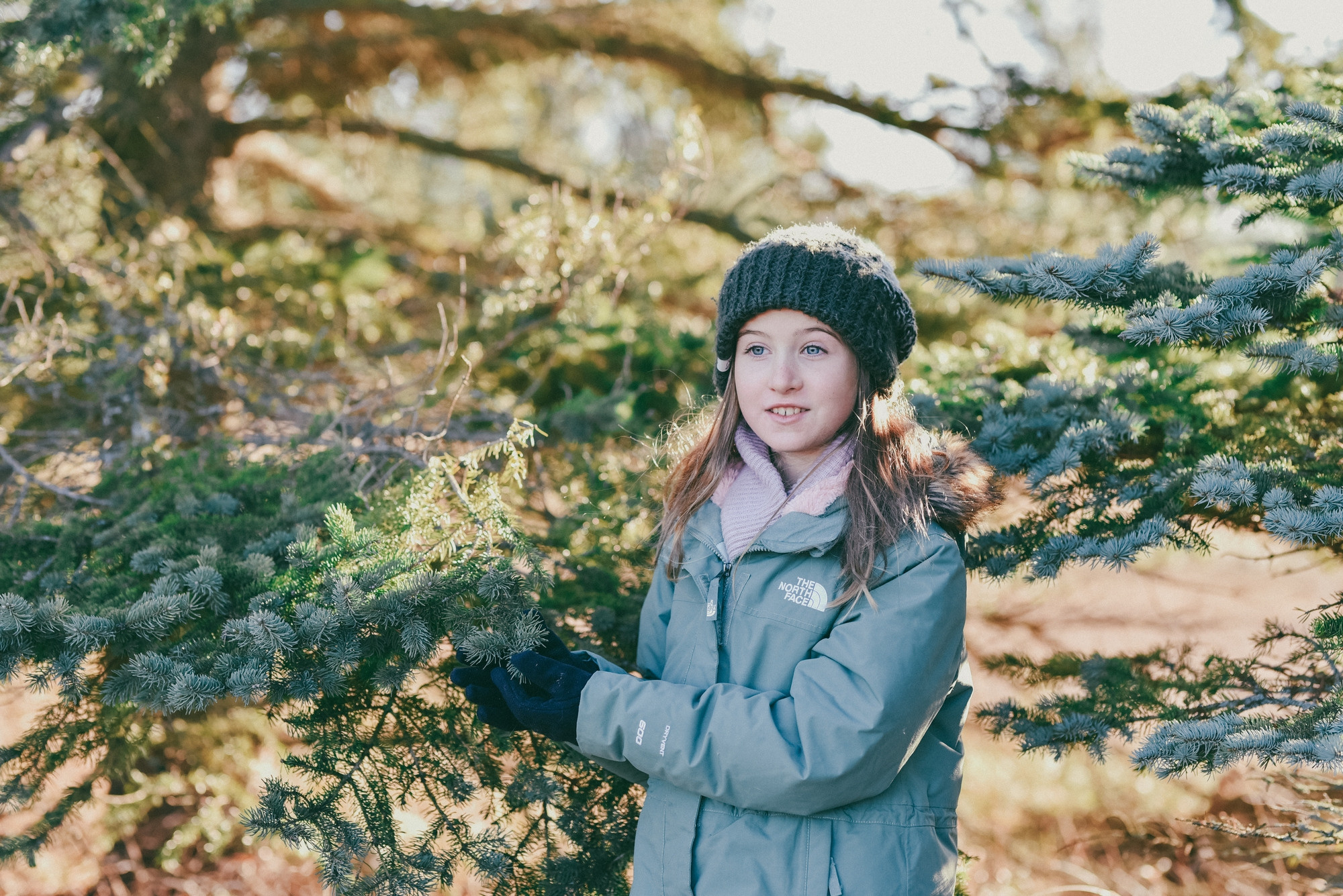 Christmas photo session, tree farm Ontario. Photographer Katia Velich Toronto Oakville GTA