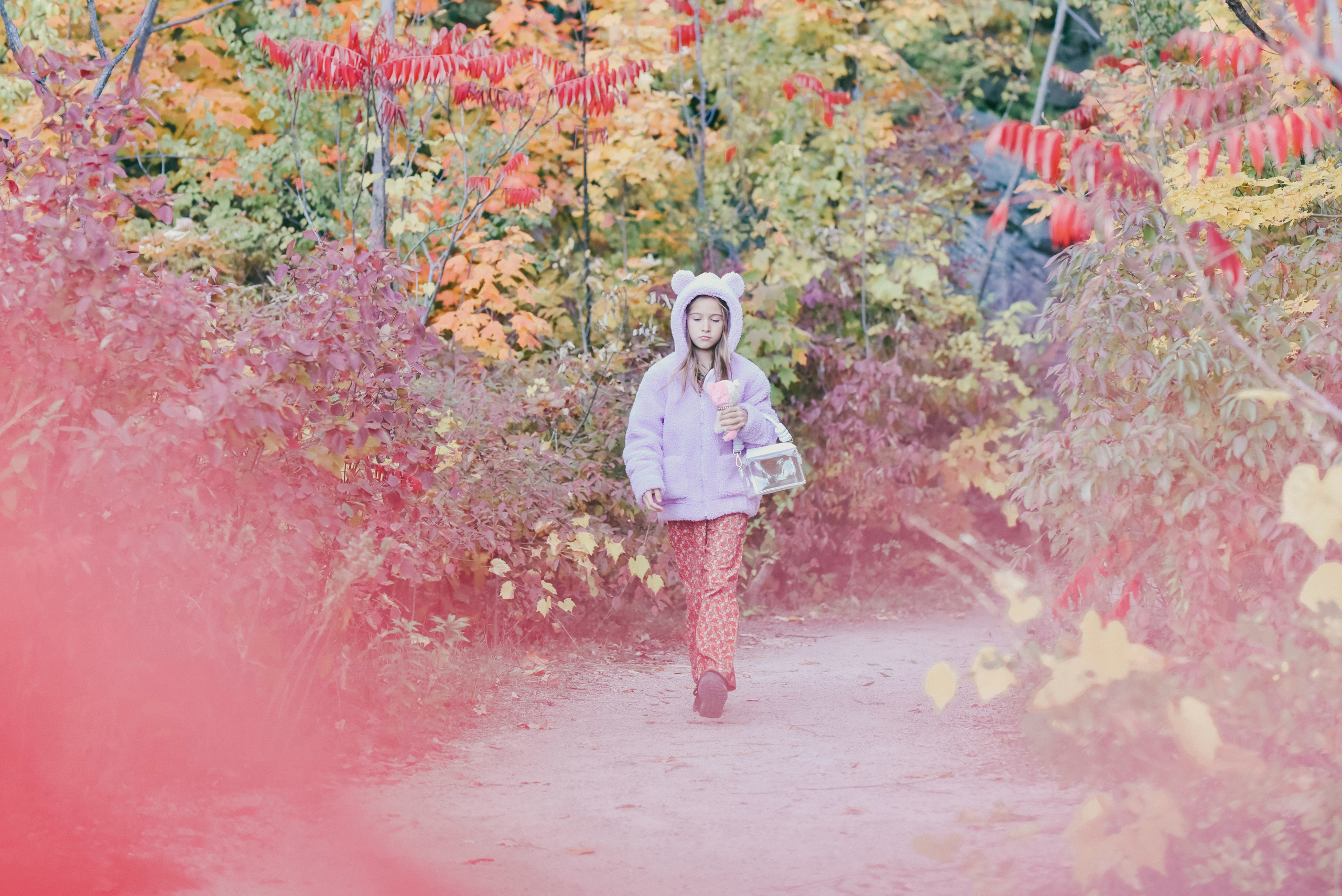 Kerncliff Park, Burlington, Ontario. Photographer Katia Velich Toronto Oakville GTA