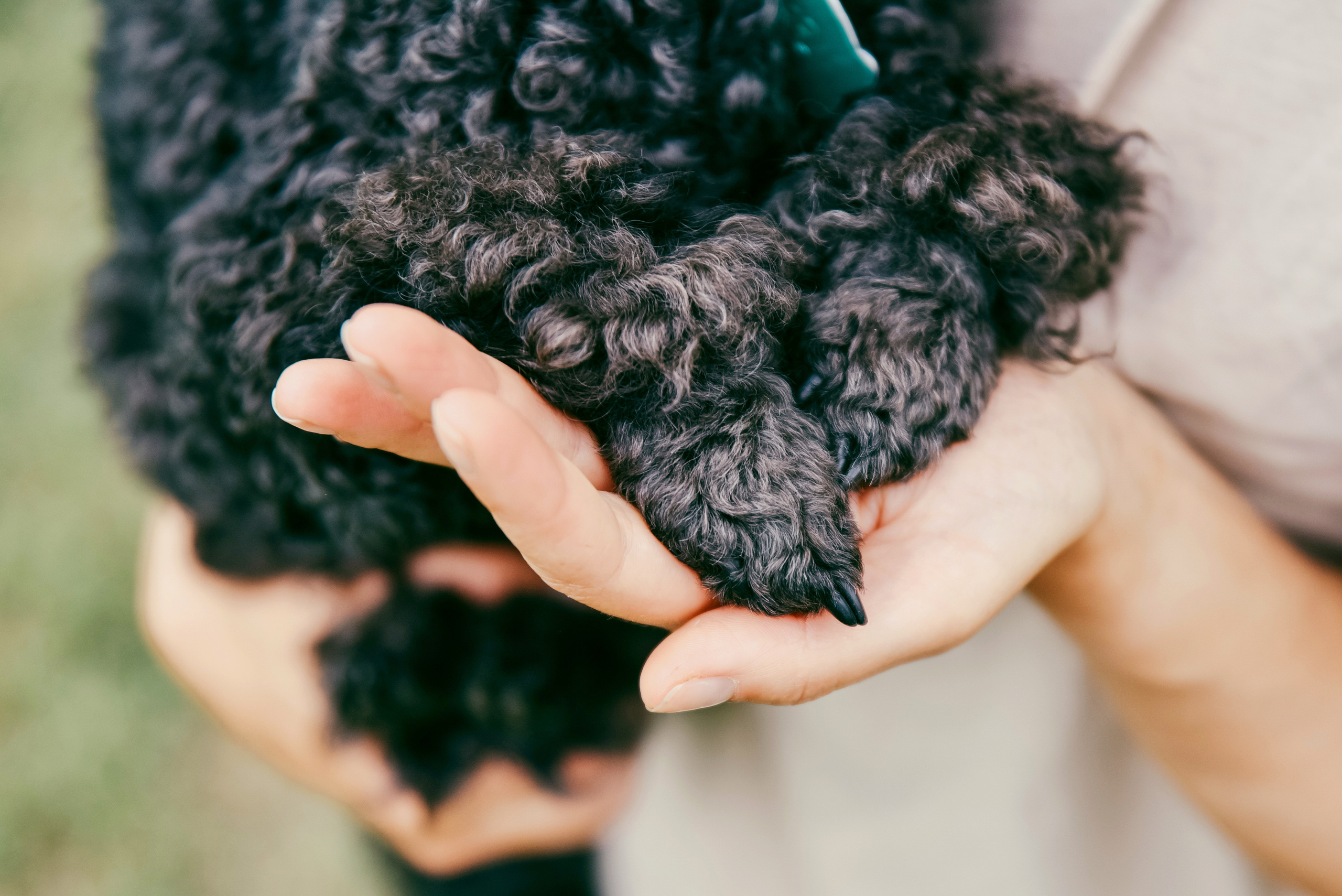 Iulia and Jerry. Photographer Katia Velich Toronto Oakville GTA