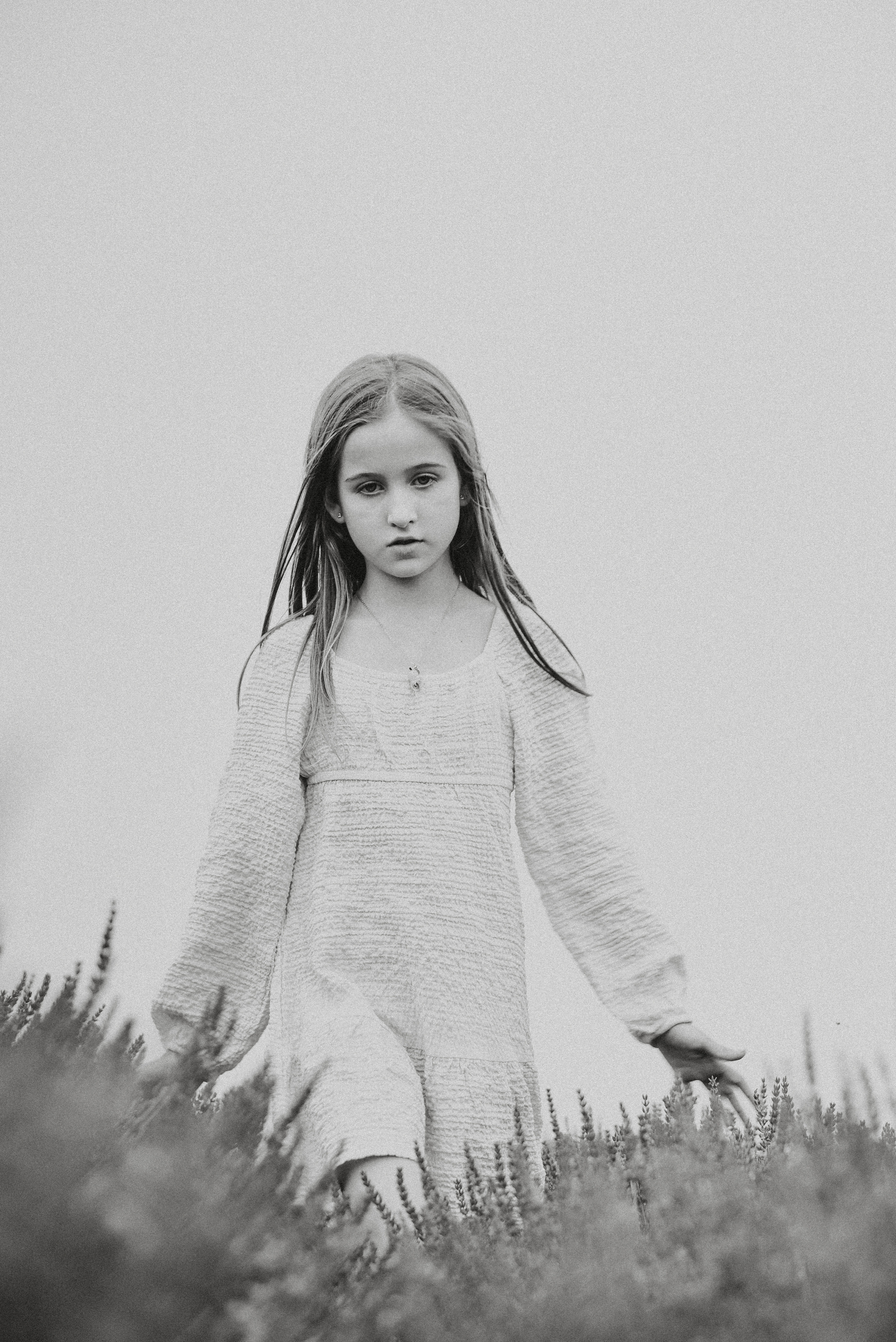 Lavender Farms, Ontario. Photographer Katia Velich Toronto Oakville GTA