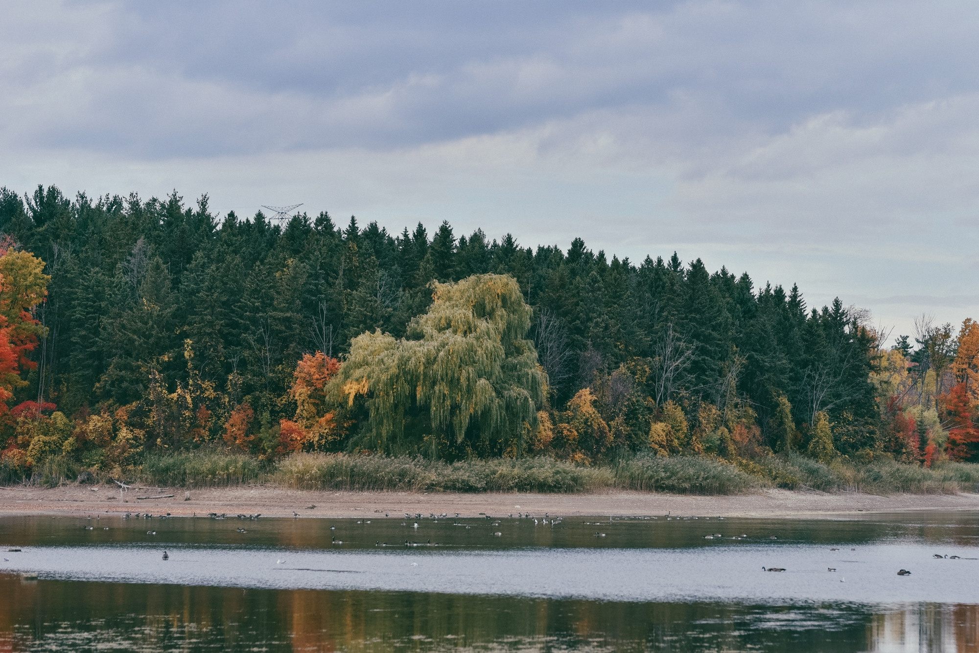 Kelso, Conservation Area, Milton. Photographer Katia Velich Toronto Oakville GTA