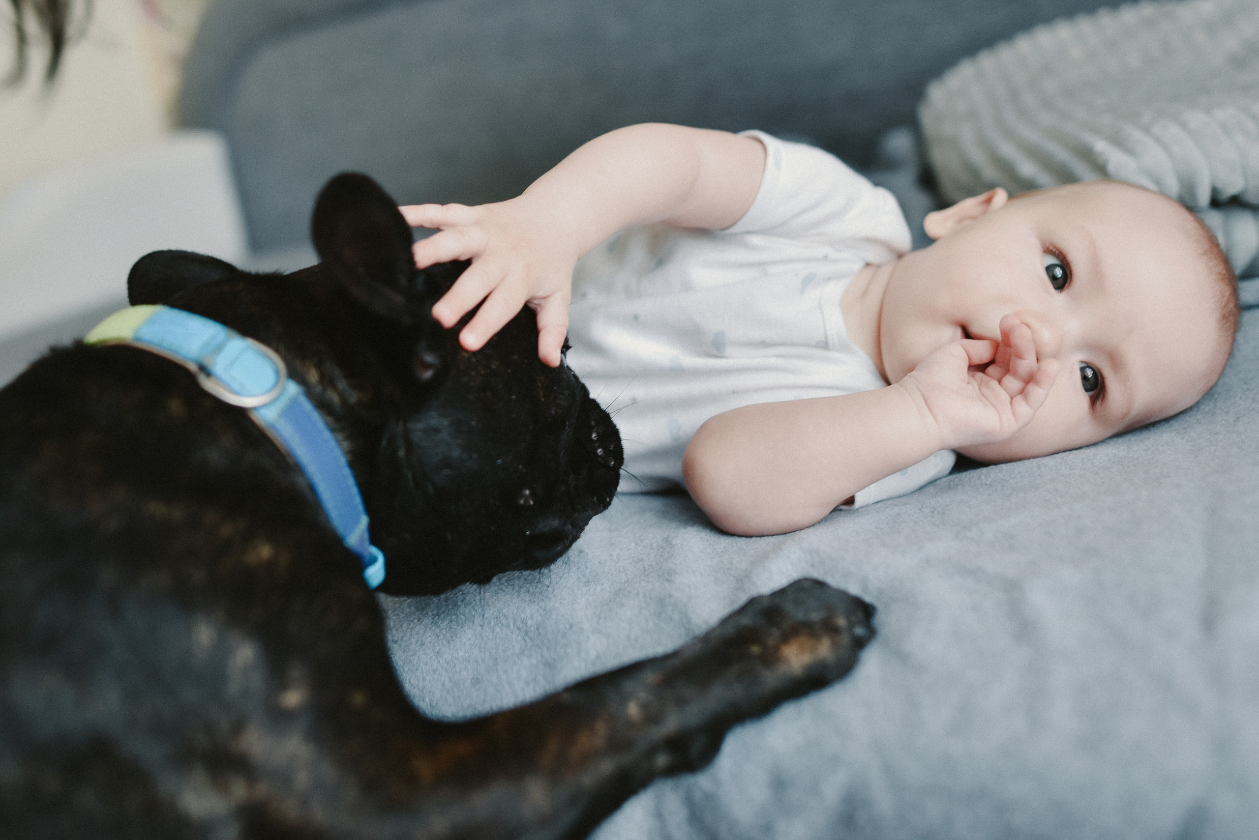 Ivan. Photographer Katia Velich Toronto Oakville GTA