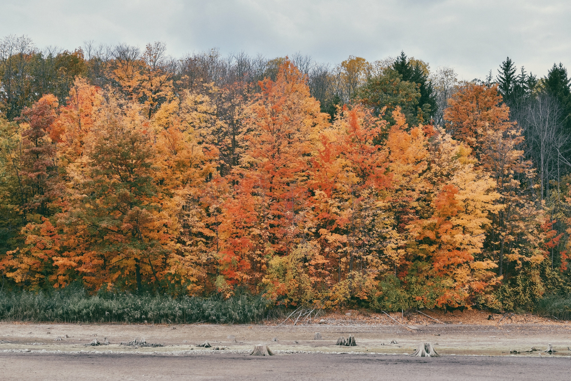 Kelso, Conservation Area, Milton. Photographer Katia Velich Toronto Oakville GTA