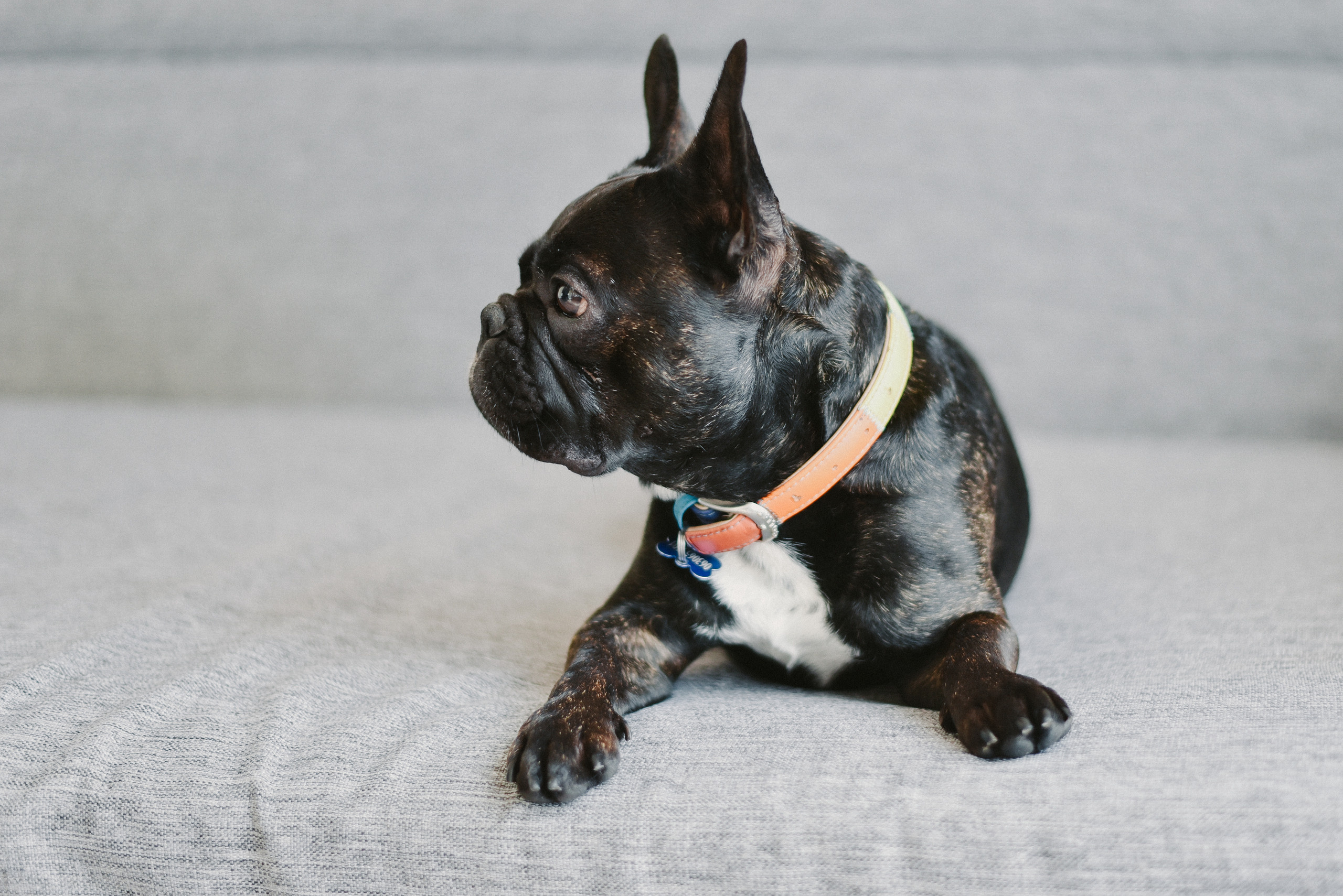 Ivan. Photographer Katia Velich Toronto Oakville GTA