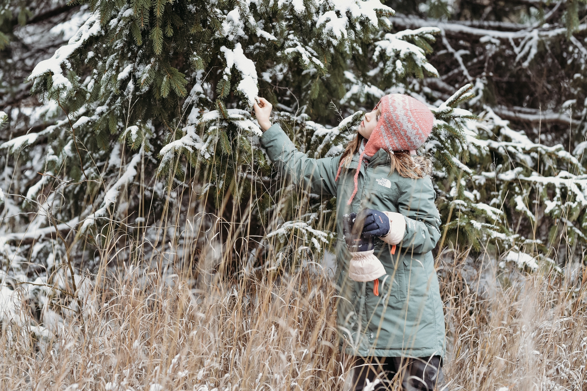 Bronte Creek Provincial Park in winter, Oakville, Ontario. Photographer Katia Velich Toronto Oakville GTA