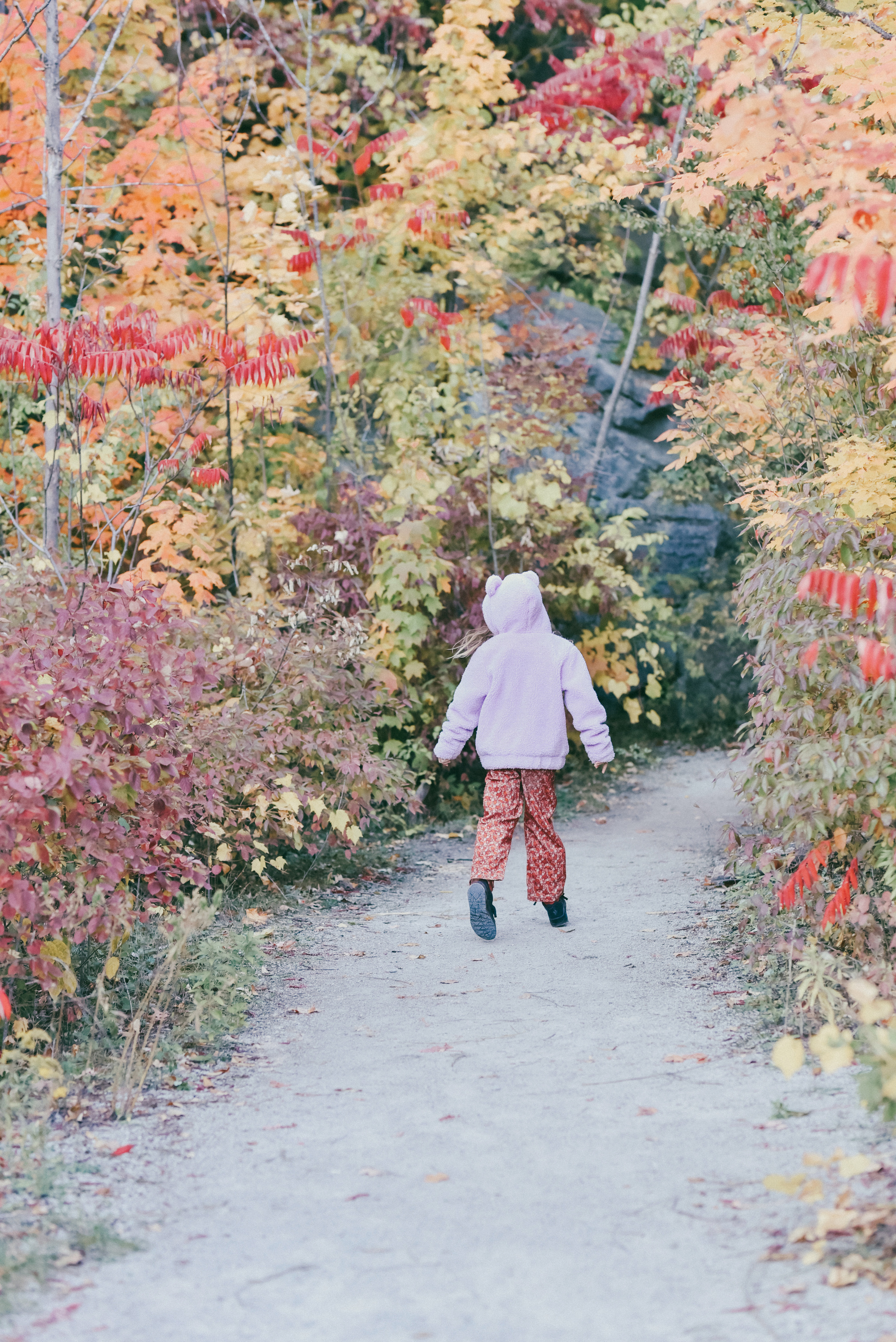 Kerncliff Park, Burlington, Ontario. Photographer Katia Velich Toronto Oakville GTA