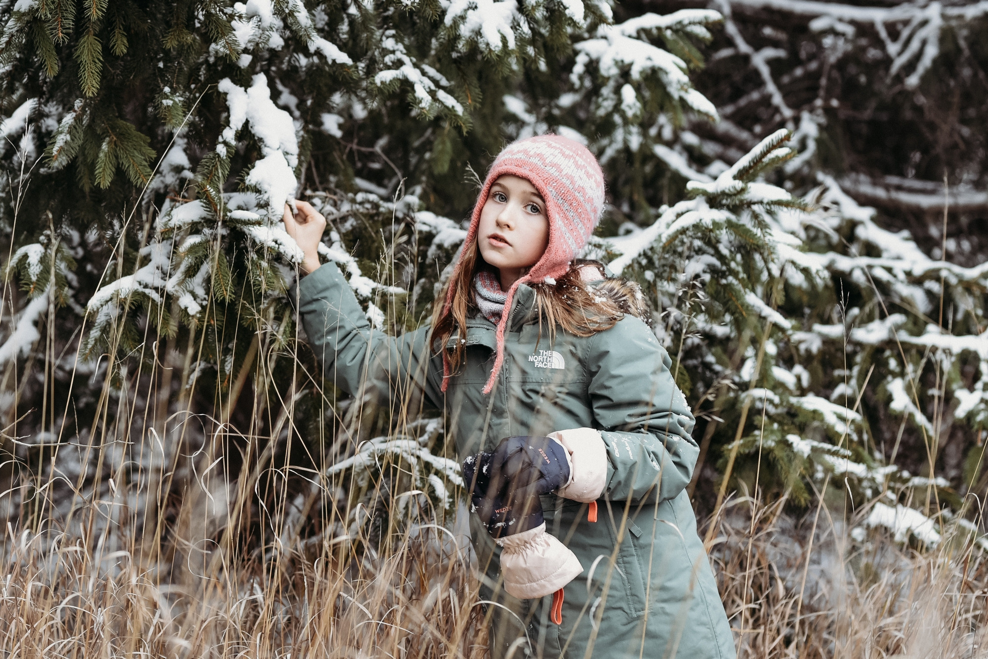 Bronte Creek Provincial Park in winter, Oakville, Ontario. Photographer Katia Velich Toronto Oakville GTA