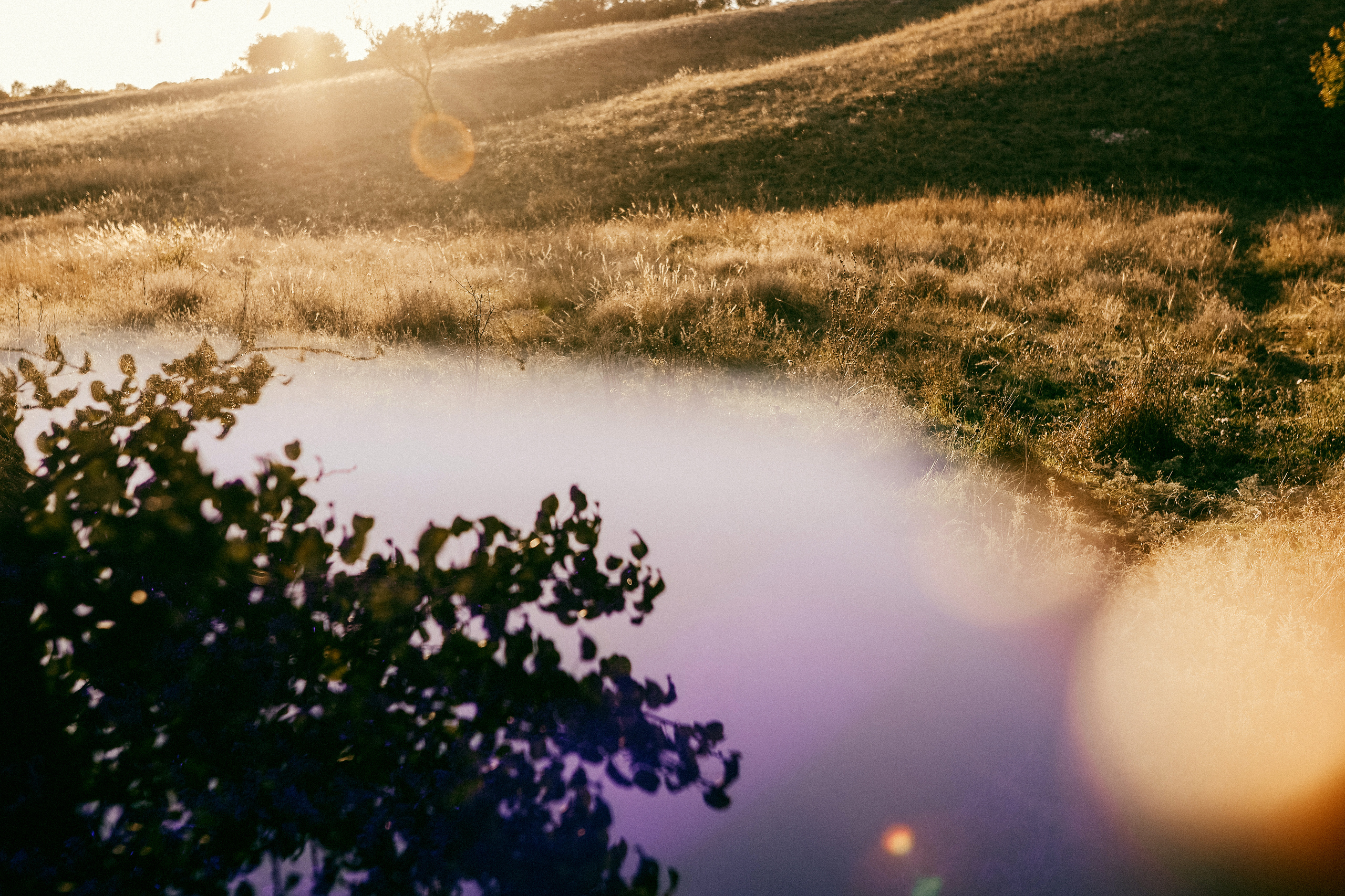 Аглая и Аляска. Семейный и детский фотограф в Киеве Катерина Величко