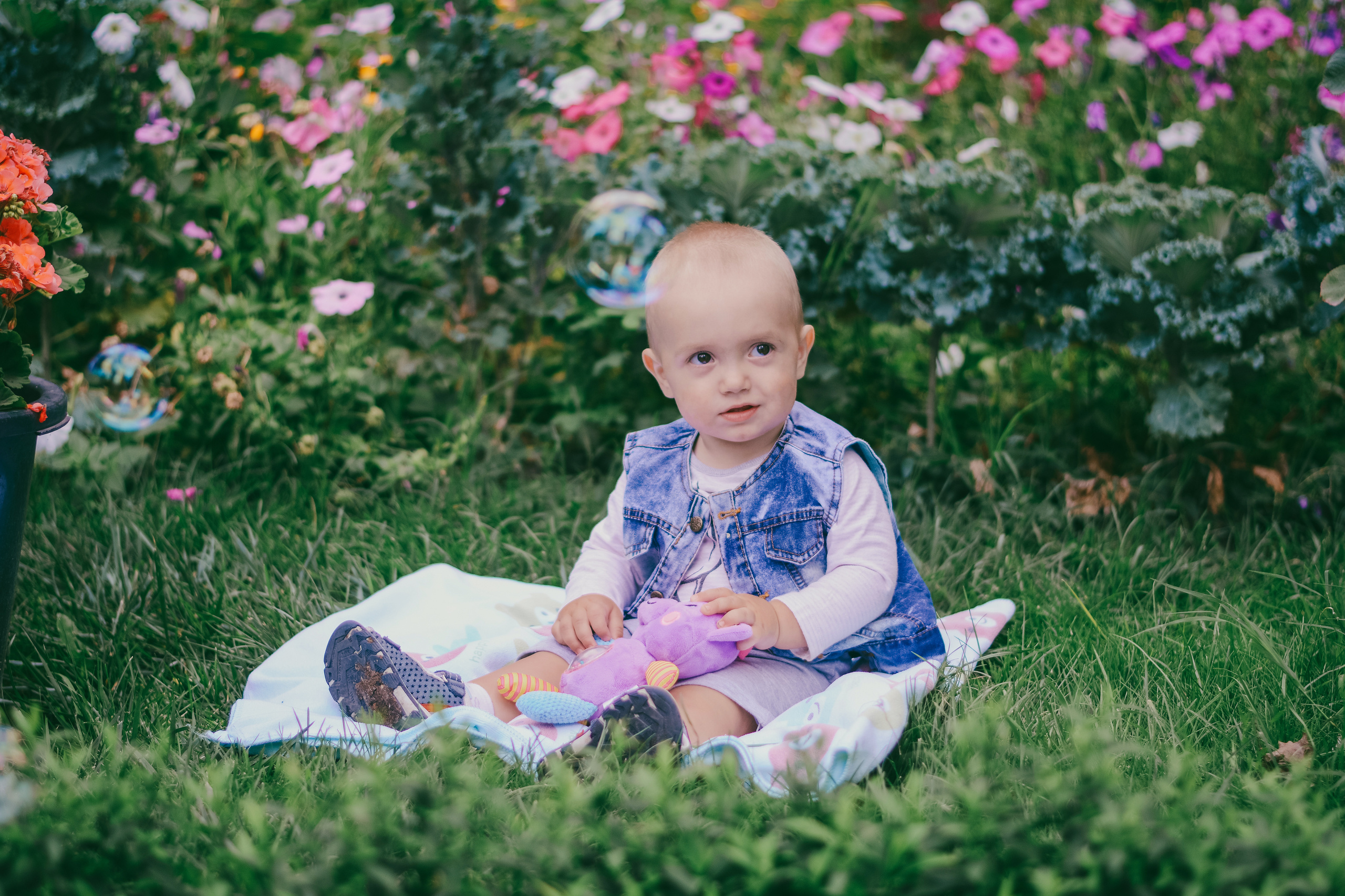 Nikita. Photographer Katia Velich Toronto Oakville GTA