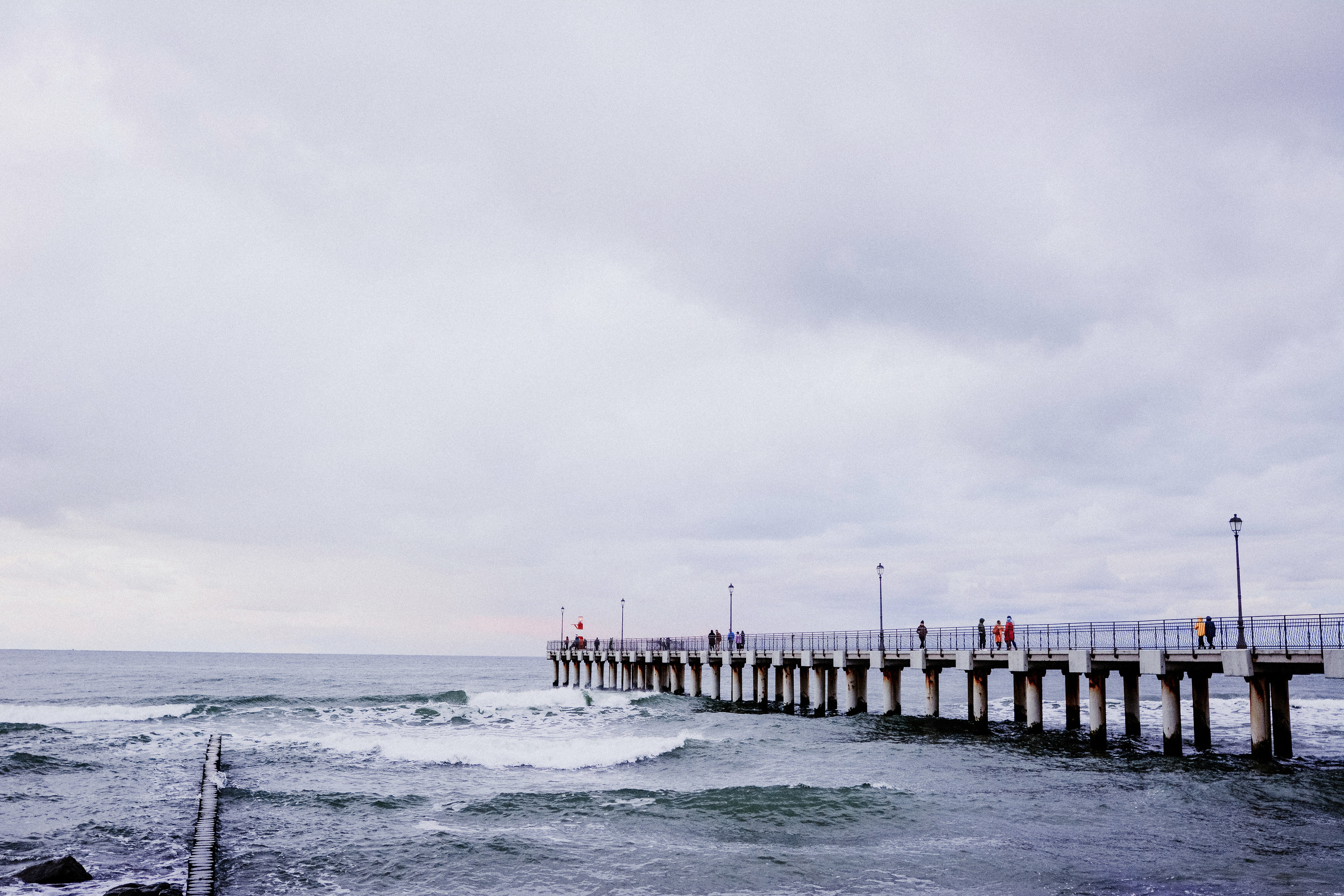 Dasha and Alexander. Photographer Katia Velich Toronto Oakville GTA