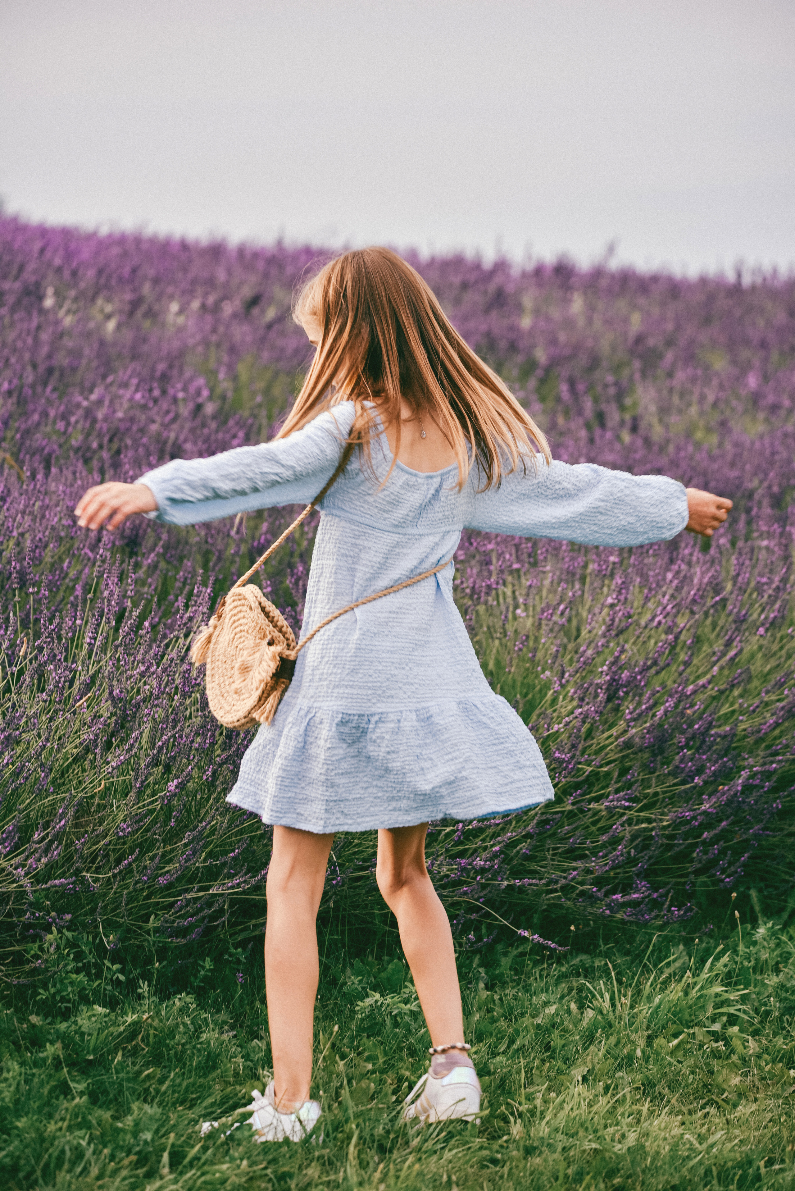 Lavender Farms, Ontario. Photographer Katia Velich Toronto Oakville GTA