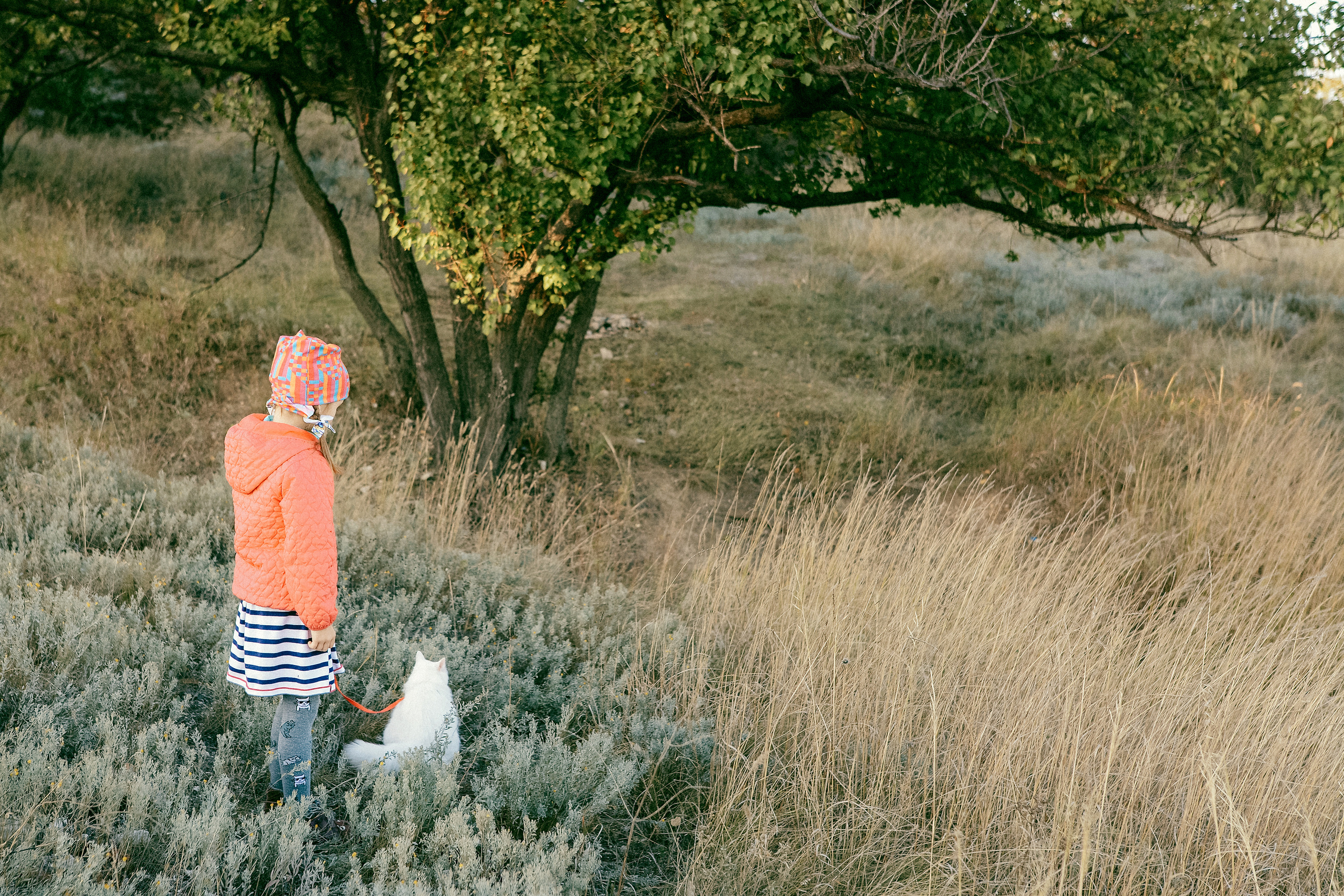 Аглая и Аляска. Семейный и детский фотограф в Киеве Катерина Величко