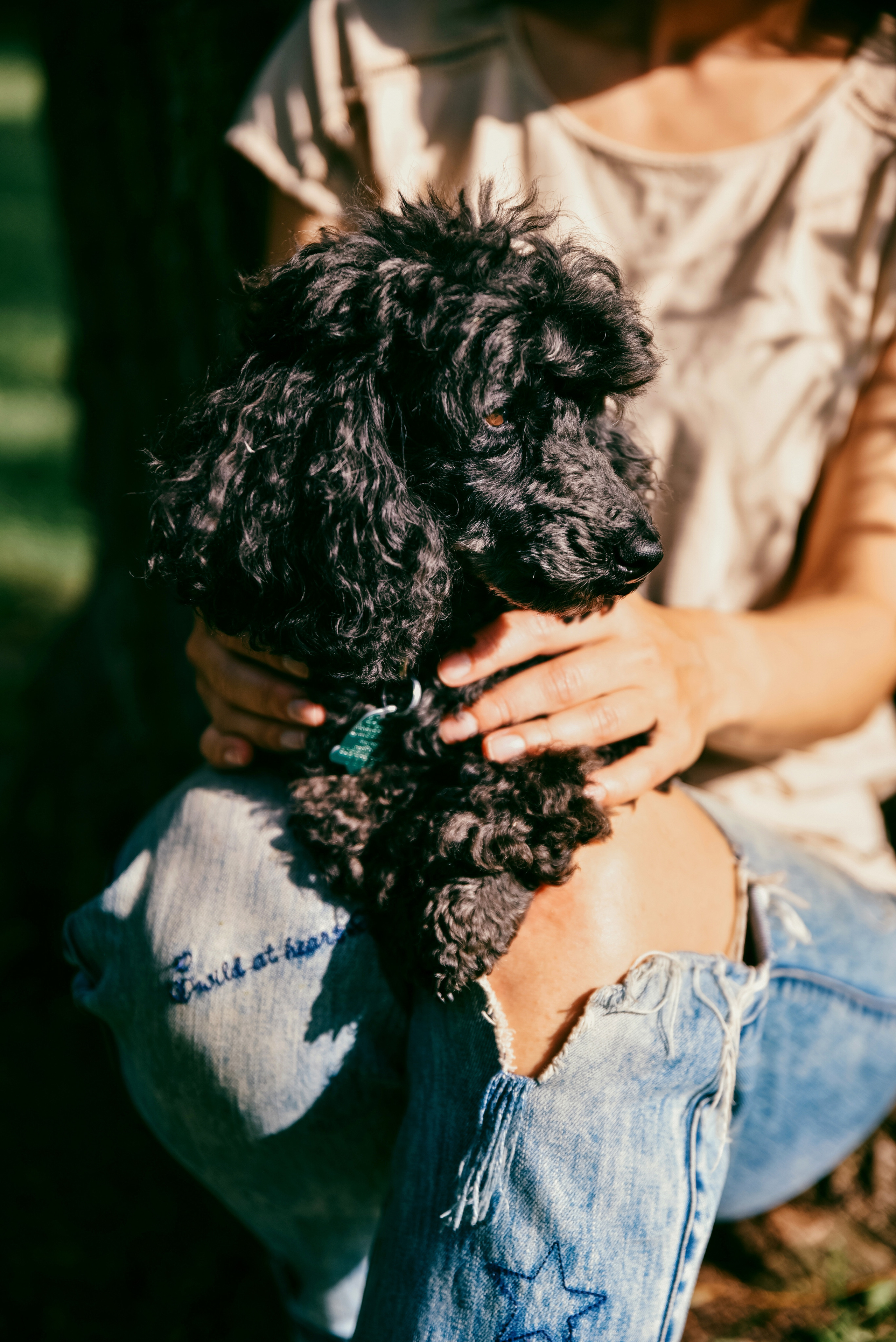 Iulia and Jerry. Photographer Katia Velich Toronto Oakville GTA