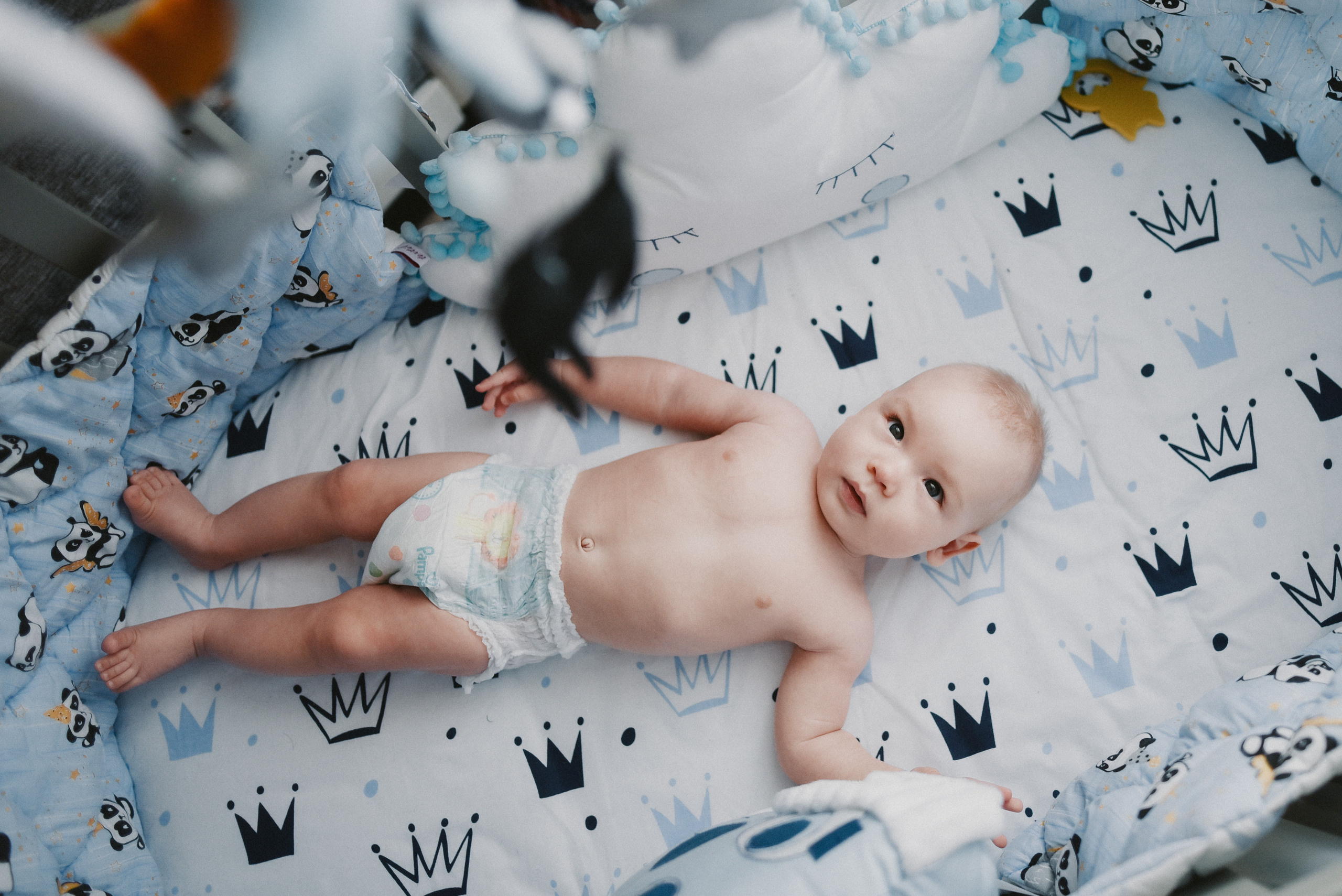 Ivan. Photographer Katia Velich Toronto Oakville GTA