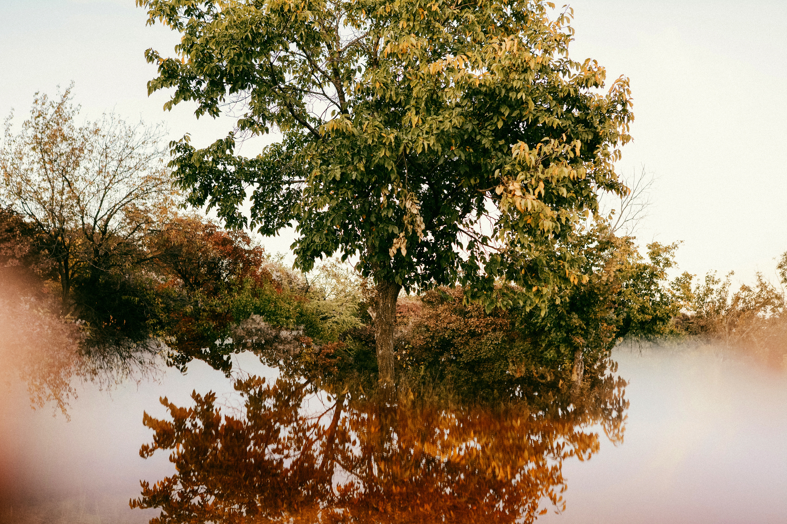 Аглая и Аляска. Семейный и детский фотограф в Киеве Катерина Величко