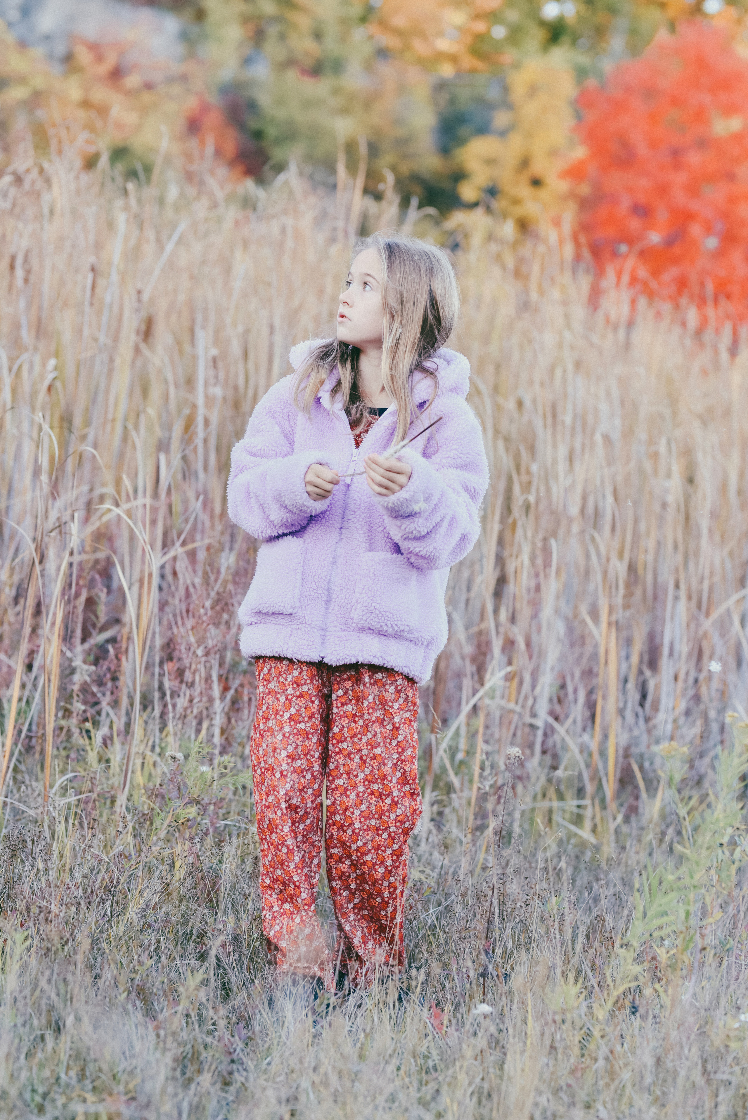 Kerncliff Park, Burlington, Ontario. Photographer Katia Velich Toronto Oakville GTA