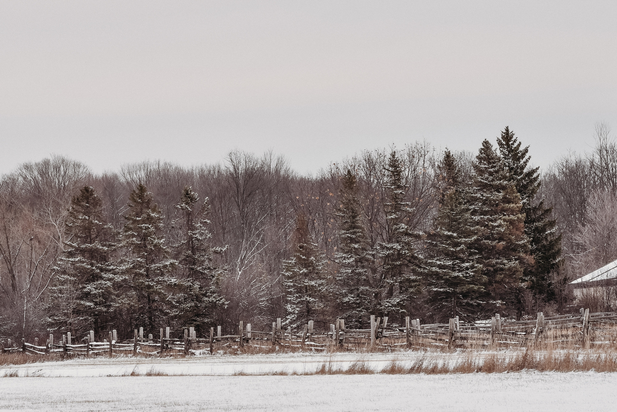 Bronte Creek Provincial Park in winter, Oakville, Ontario. Photographer Katia Velich Toronto Oakville GTA