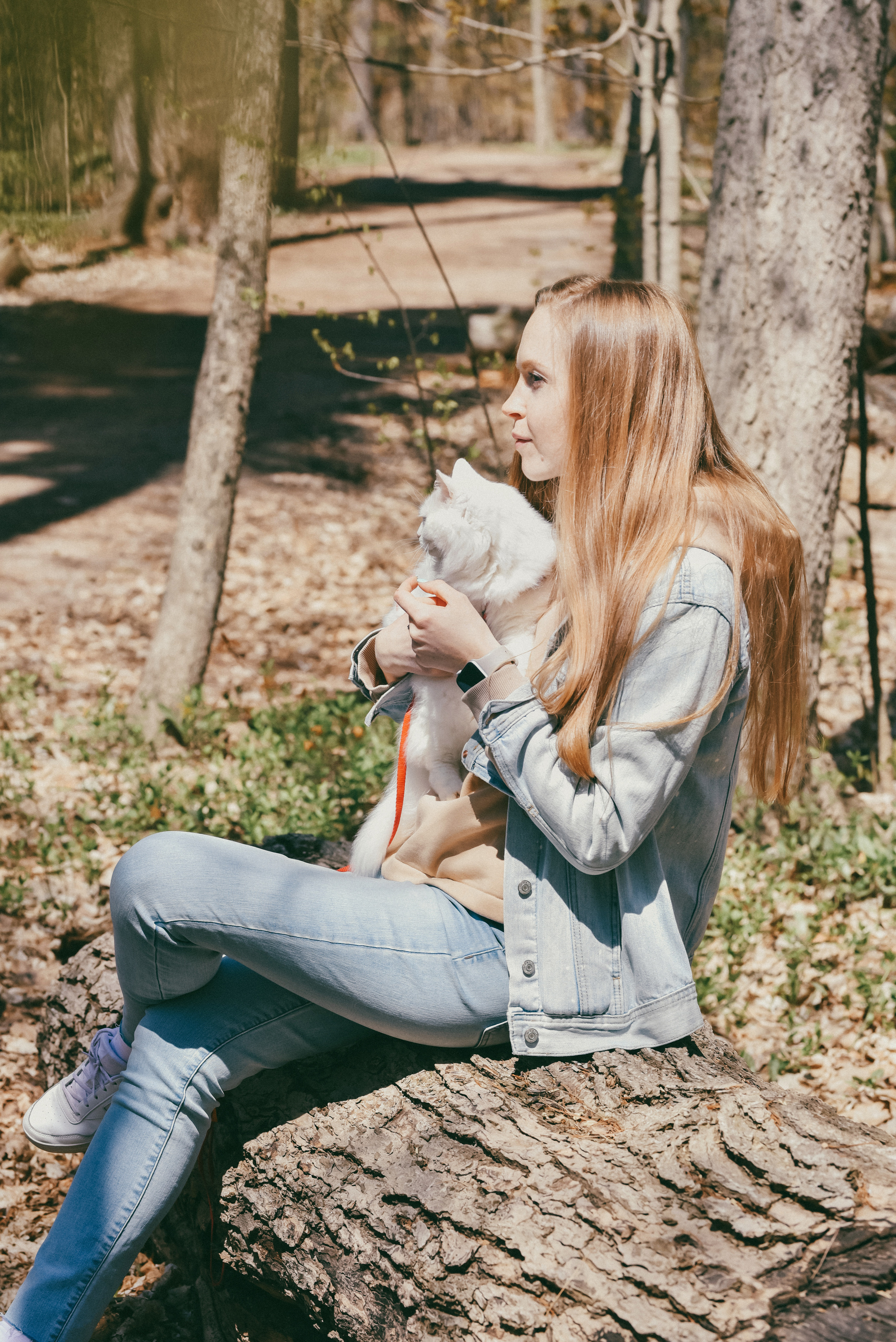 Morrison Valley South, Oakville, Ontario. Photographer Katia Velich Toronto Oakville GTA