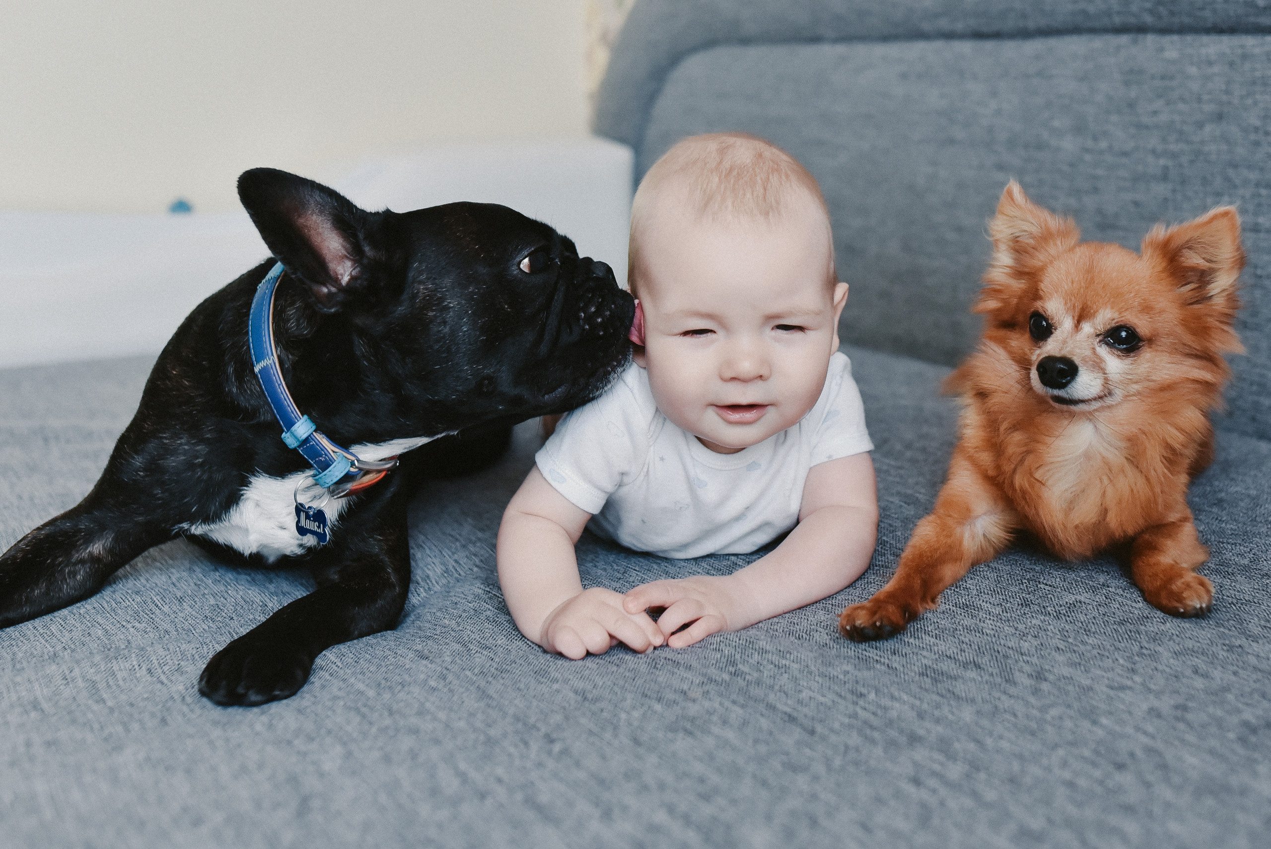 Ivan. Photographer Katia Velich Toronto Oakville GTA