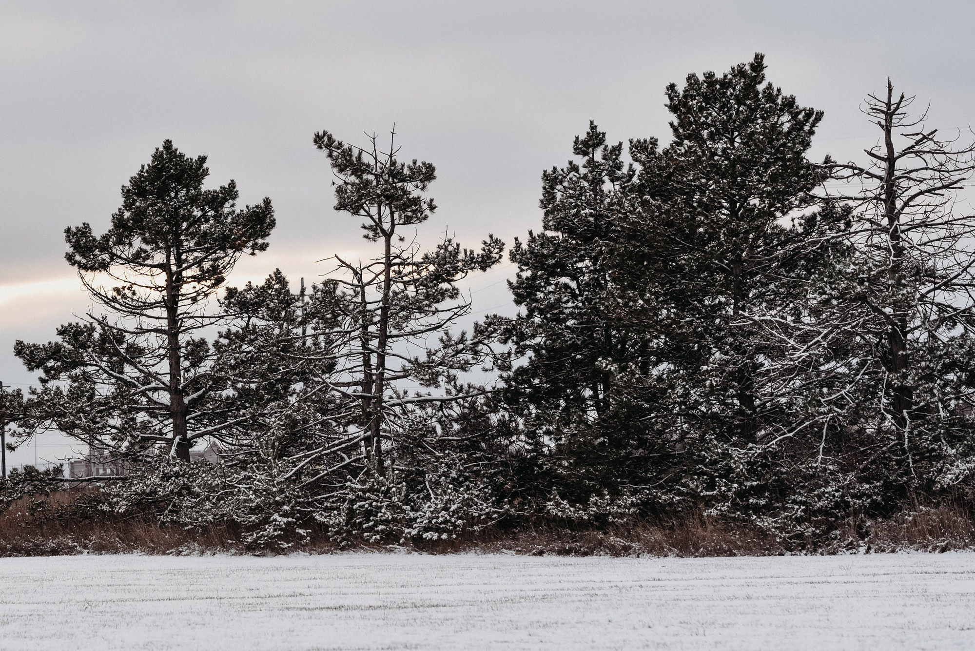 Bronte Creek Provincial Park in winter, Oakville, Ontario. Photographer Katia Velich Toronto Oakville GTA